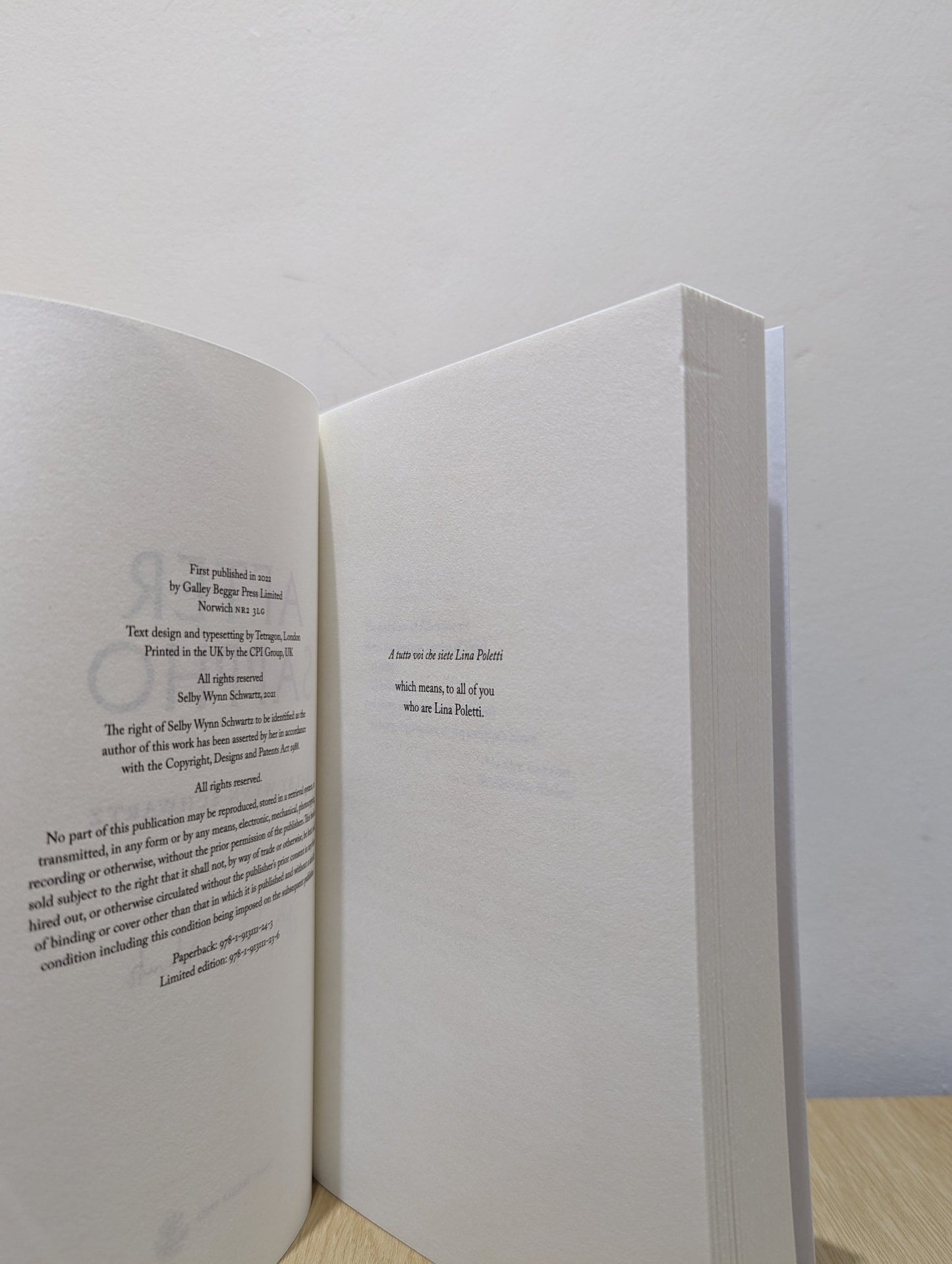 After Sappho by Selby Wynn Schwartz (Signed First Edition) - Fialta Books