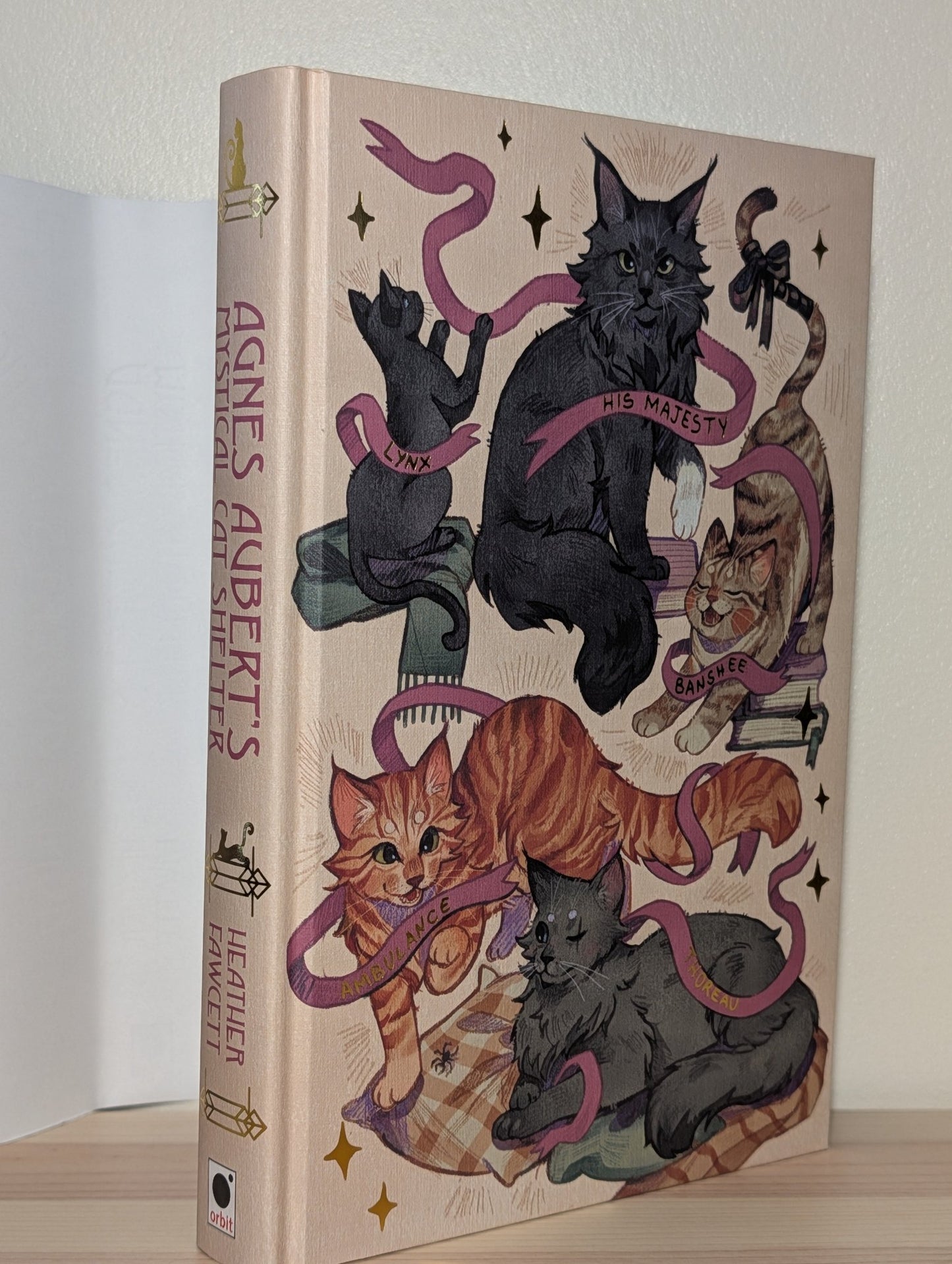 Agnes Aubert's Mystical Cat Shelter by Heather Fawcett (Signed Special Edition with sprayed edges) - Fialta Books