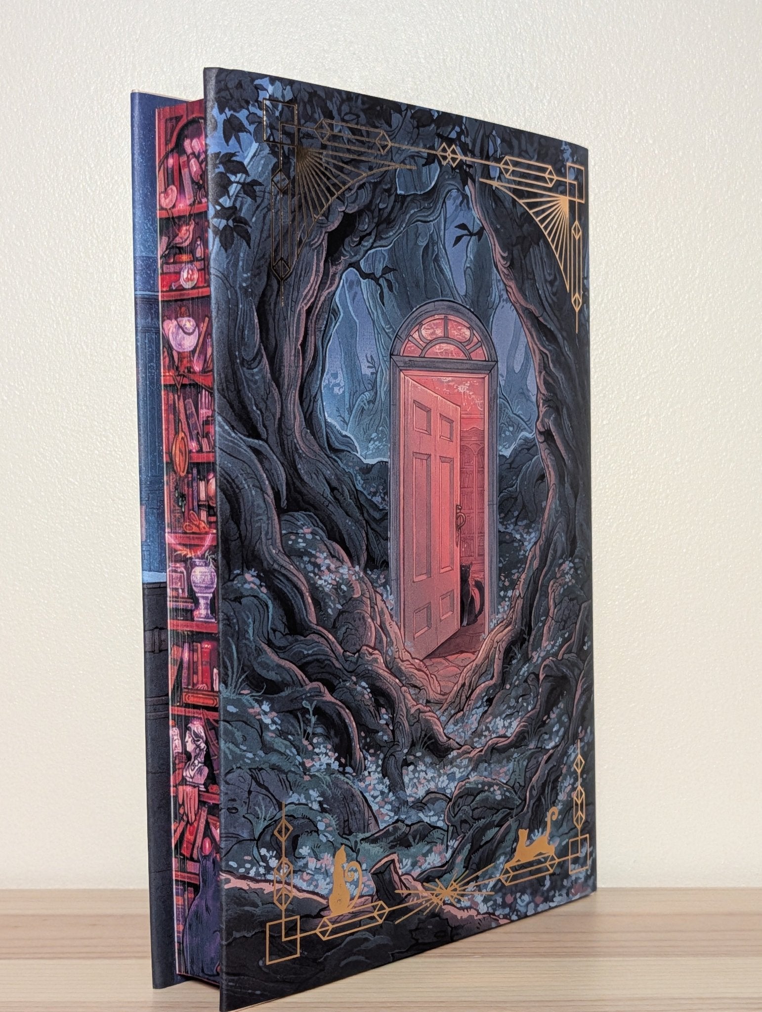 Agnes Aubert's Mystical Cat Shelter by Heather Fawcett (Signed Special Edition with sprayed edges) - Fialta Books