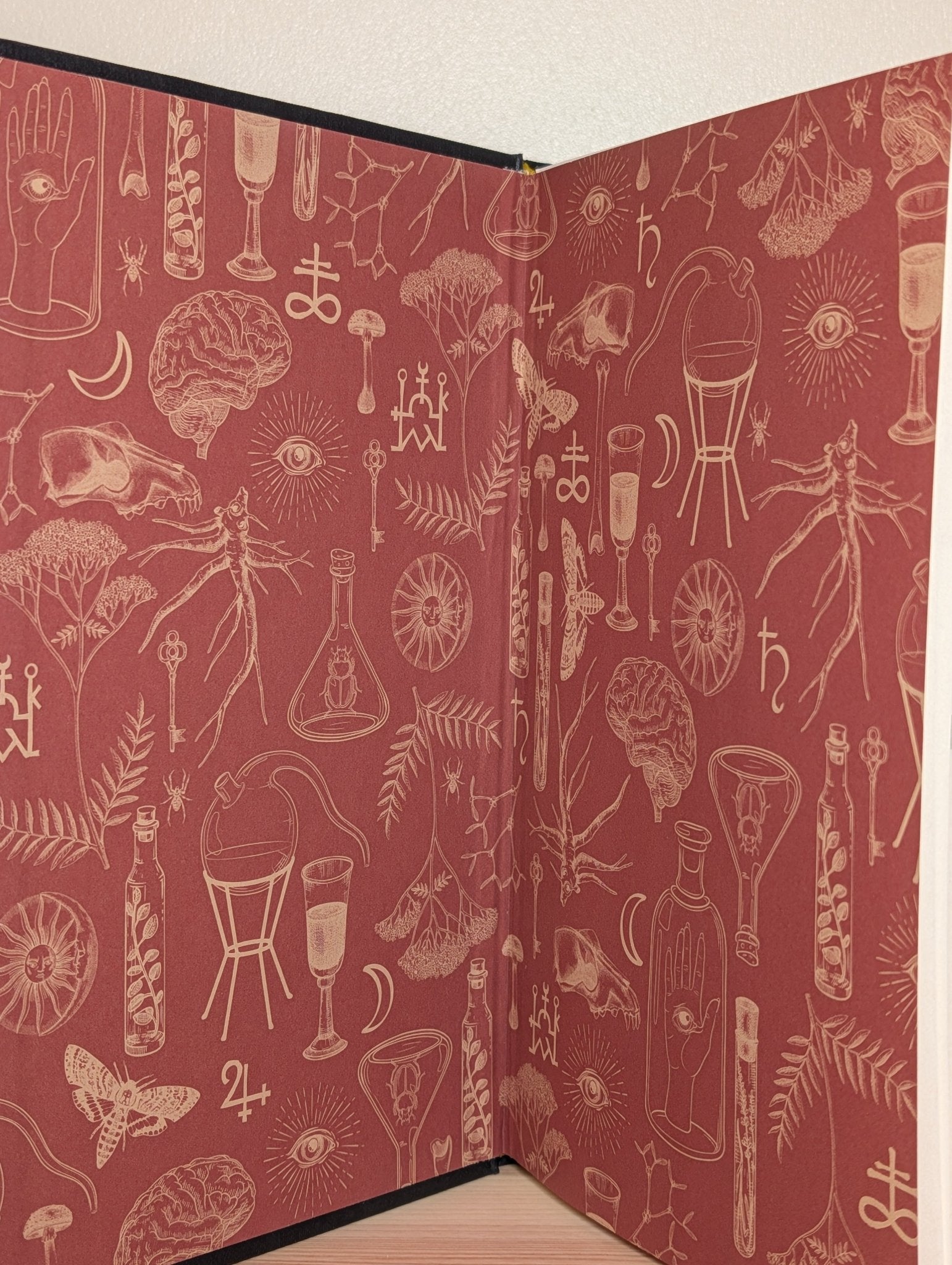 Alchemised by SenLinYu (Signed) - Fialta Books