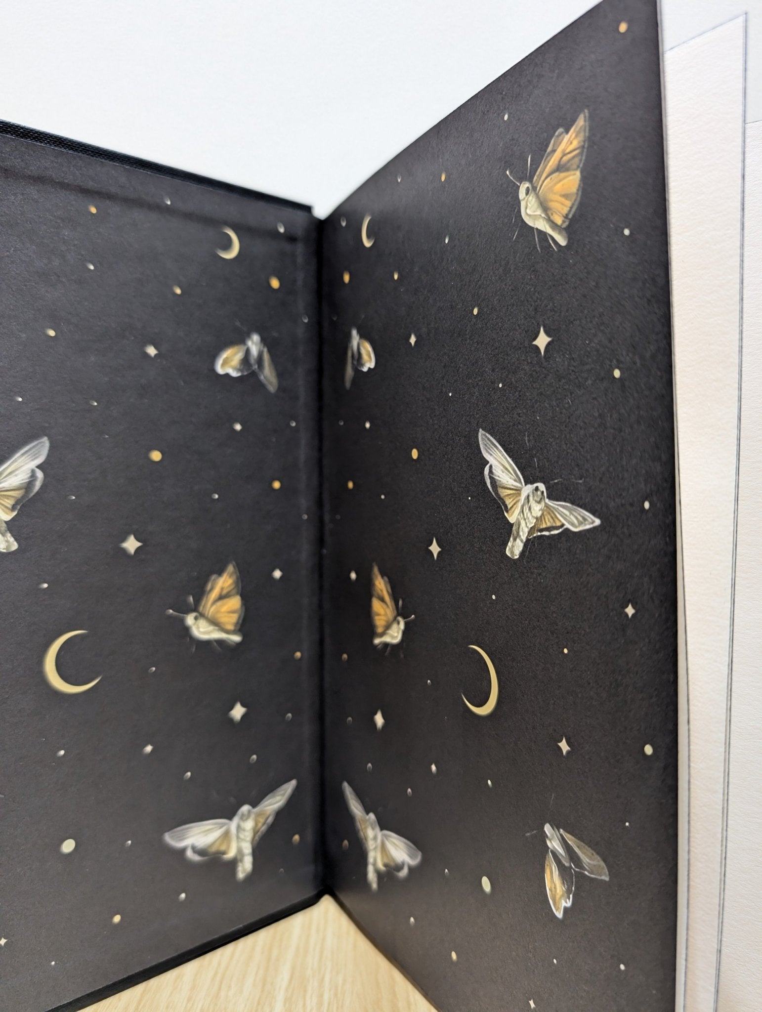 All The Devils by Catelyn Wilson (Signed First Edition with sprayed edges) - Fialta Books