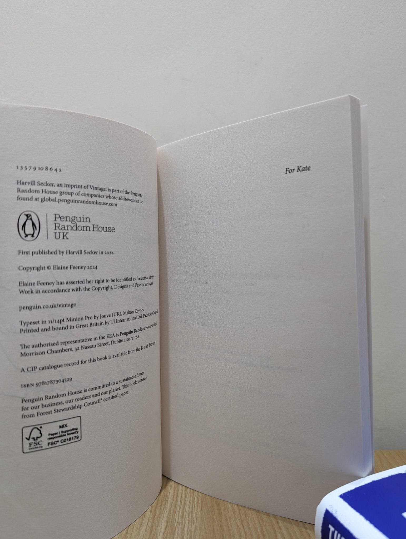 All the Good Things You Deserve by Elaine Feeney (Signed Dated First Edition) - Fialta Books