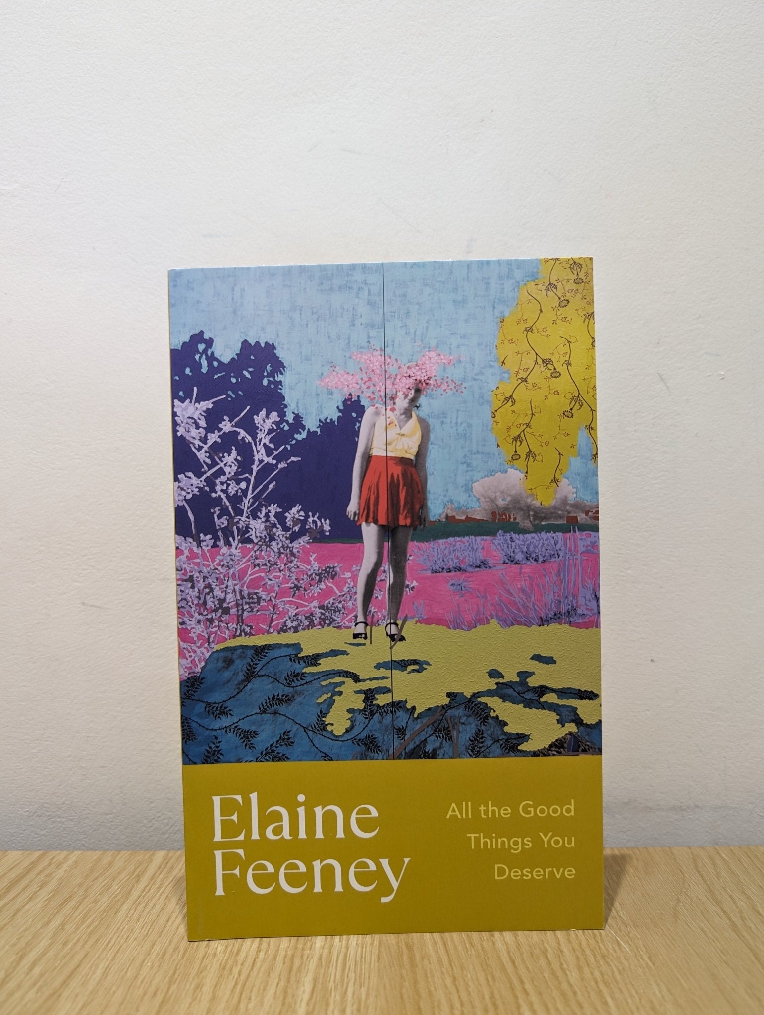 All the Good Things You Deserve by Elaine Feeney (Signed Dated First Edition) - Fialta Books