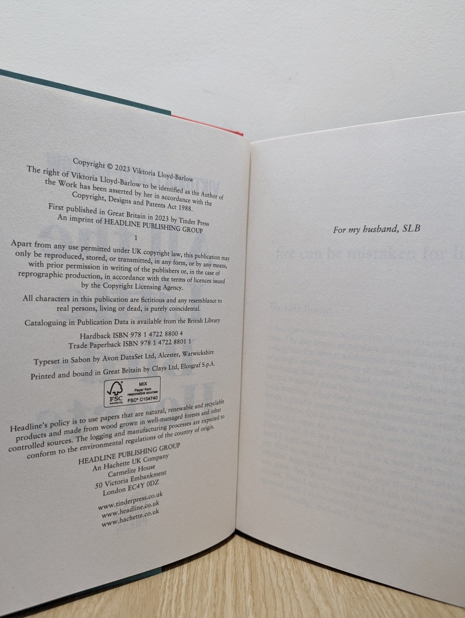 All the Little Bird - Hearts by Viktoria Lloyd - Barlow (First Edition) - Fialta Books