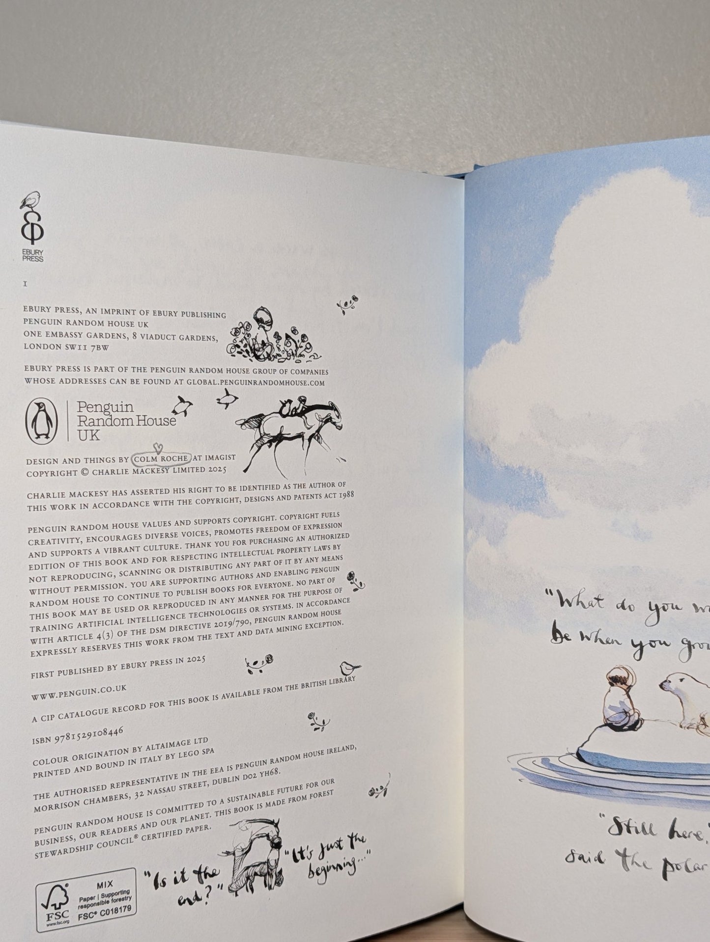 Always Remember: Boy, Mole, Fox, Horse and Storm by Charlie Mackesy (Signed First Edition) - Fialta Books