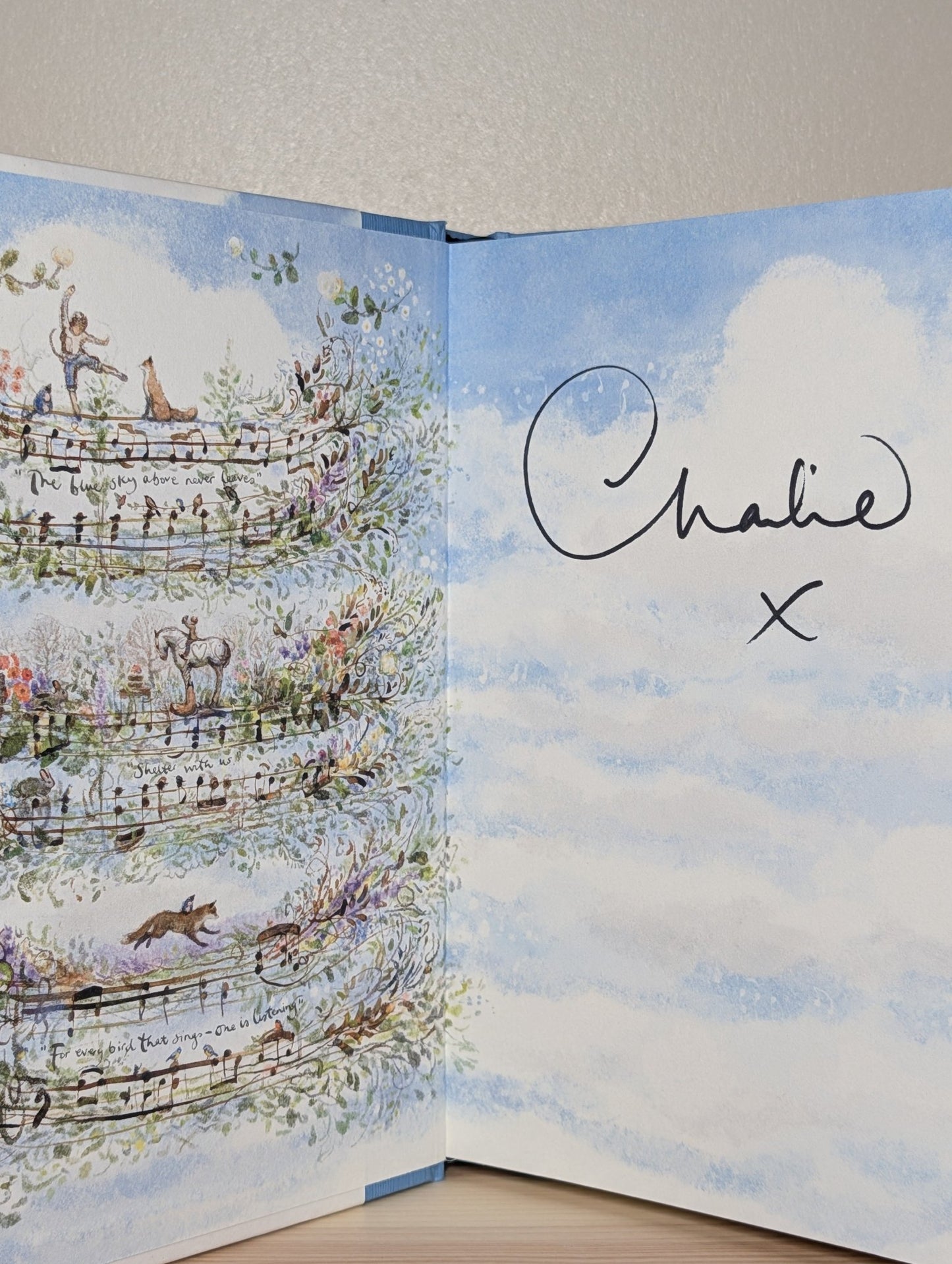 Always Remember: The Boy, the Mole, the Fox, the Horse and the Storm by Charlie Mackesy (Signed) - Fialta Books