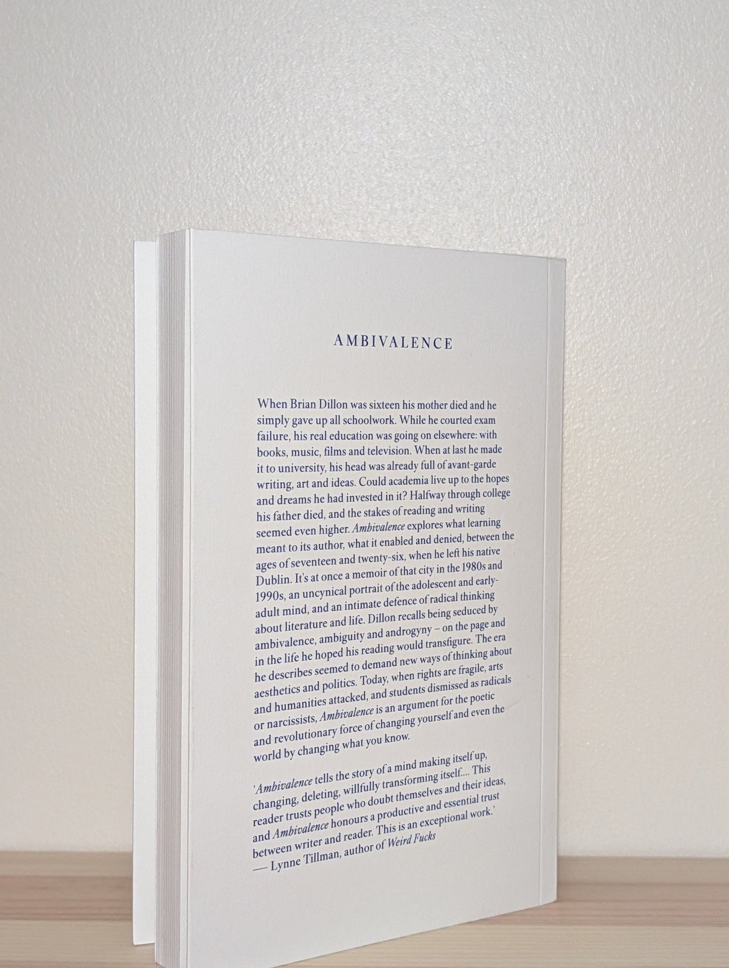 Ambivalence by Brian Dillon (Signed First Edition) - Fialta Books