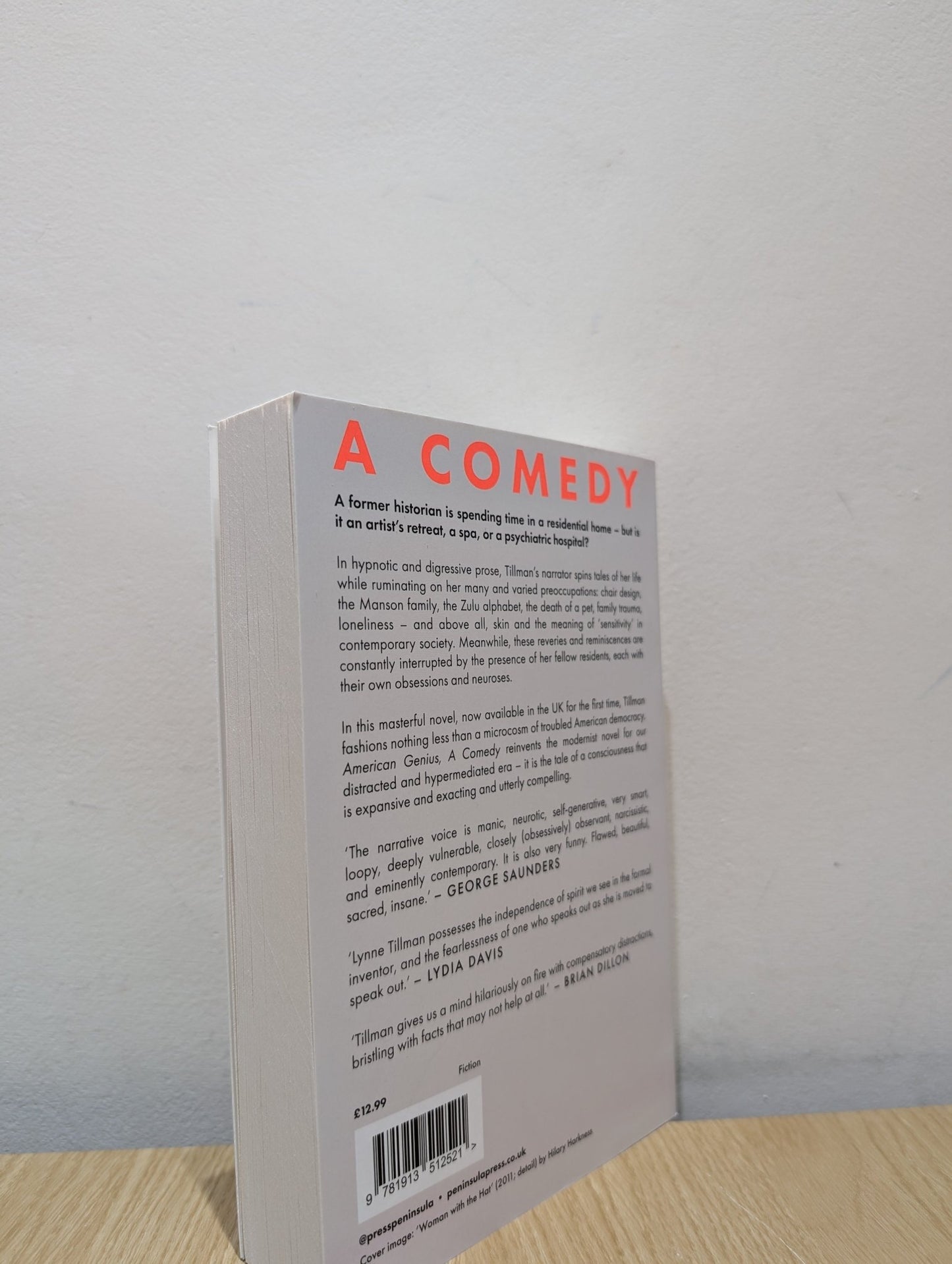 American Genius, A Comedy by Lynne Tillman (Signed First Edition) - Fialta Books