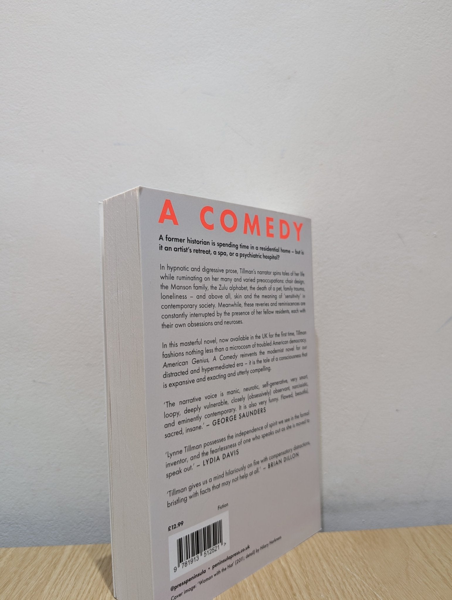 American Genius, A Comedy by Lynne Tillman (Signed First Edition) - Fialta Books