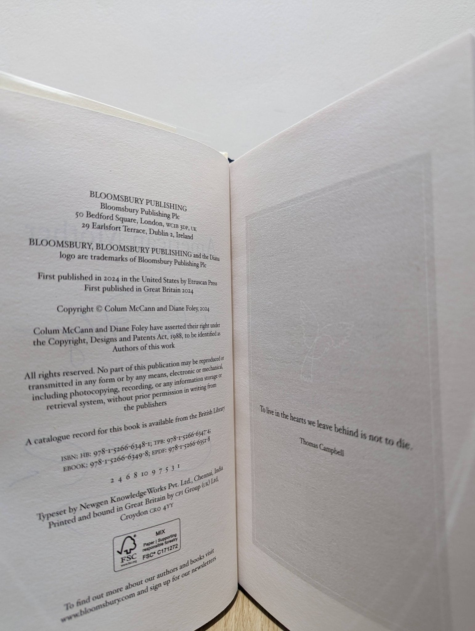 American Mother by Colum McCann Diane Foley (Signed First Edition) - Fialta Books