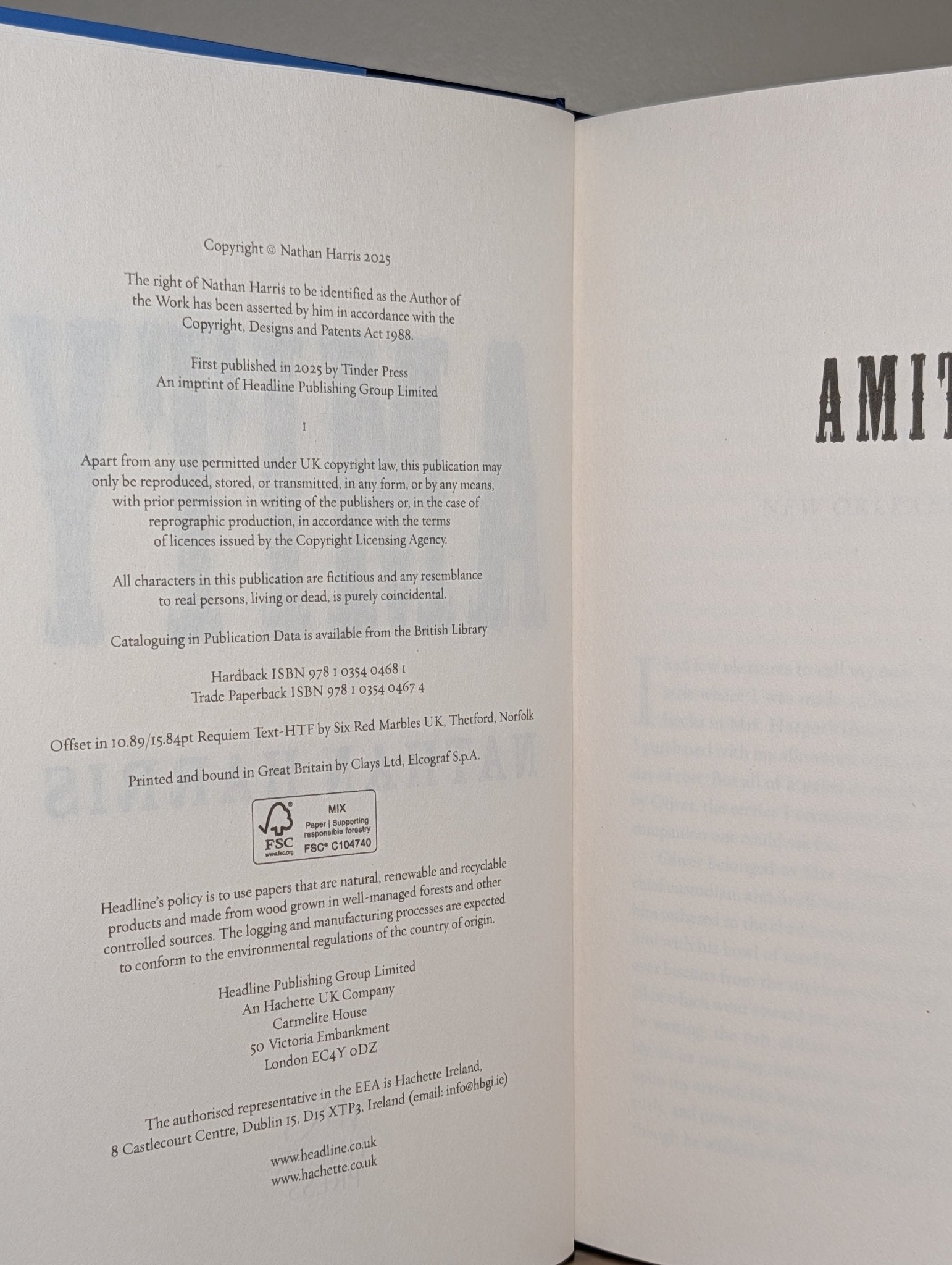AMITY by Nathan Harris (First Edition) - Fialta Books