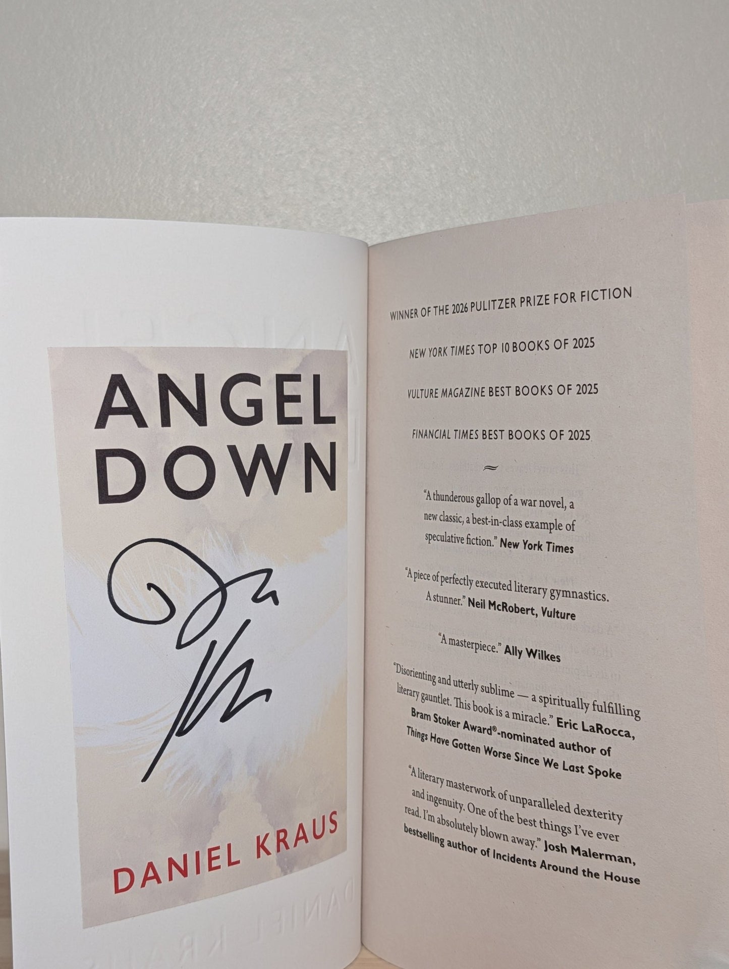 Angel Down by Daniel Kraus (Signed) - Fialta Books