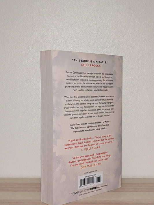 Angel Down by Daniel Kraus (Signed UK First Edition) - Fialta Books