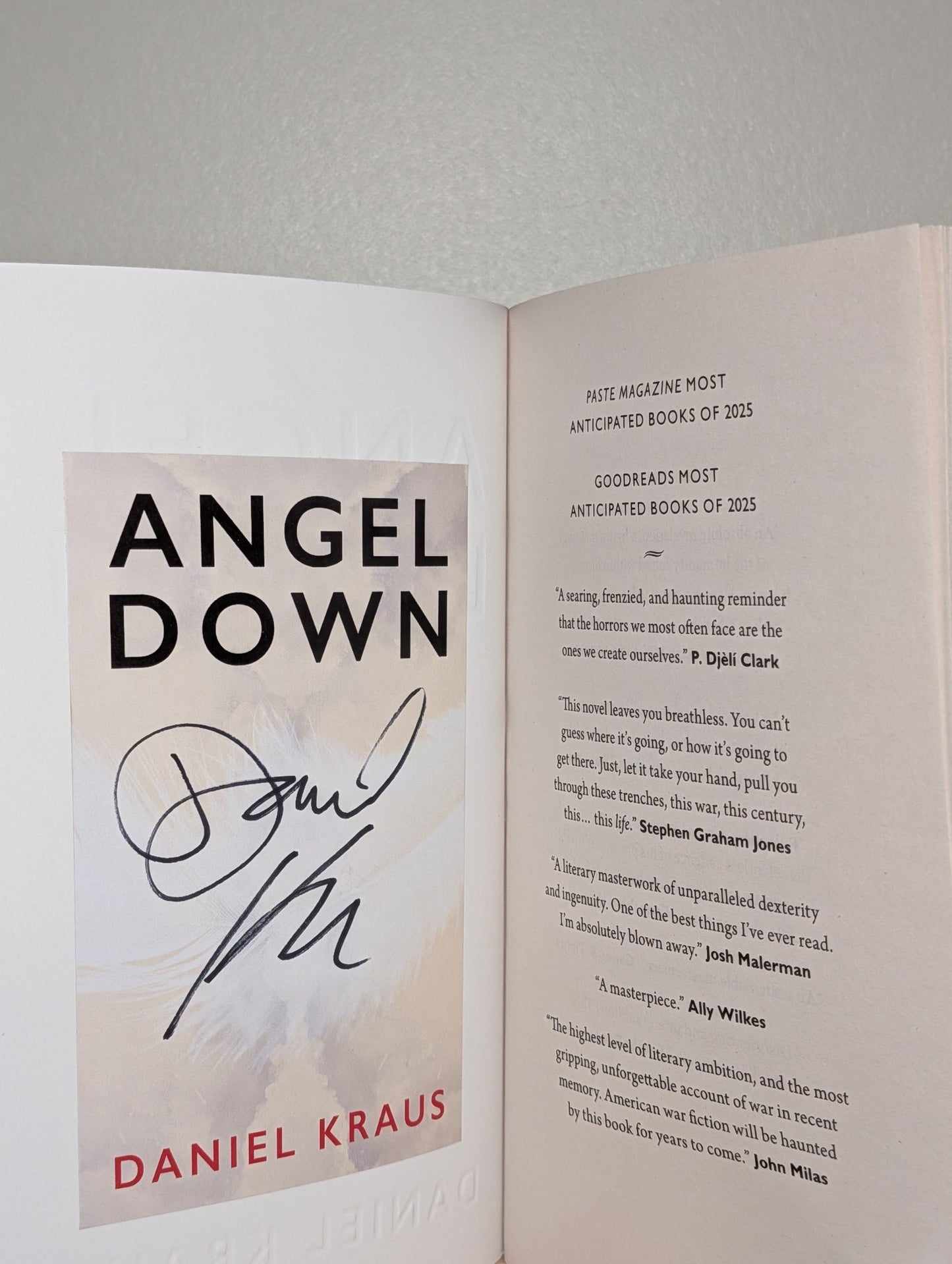 Angel Down by Daniel Kraus (Signed UK First Edition) - Fialta Books
