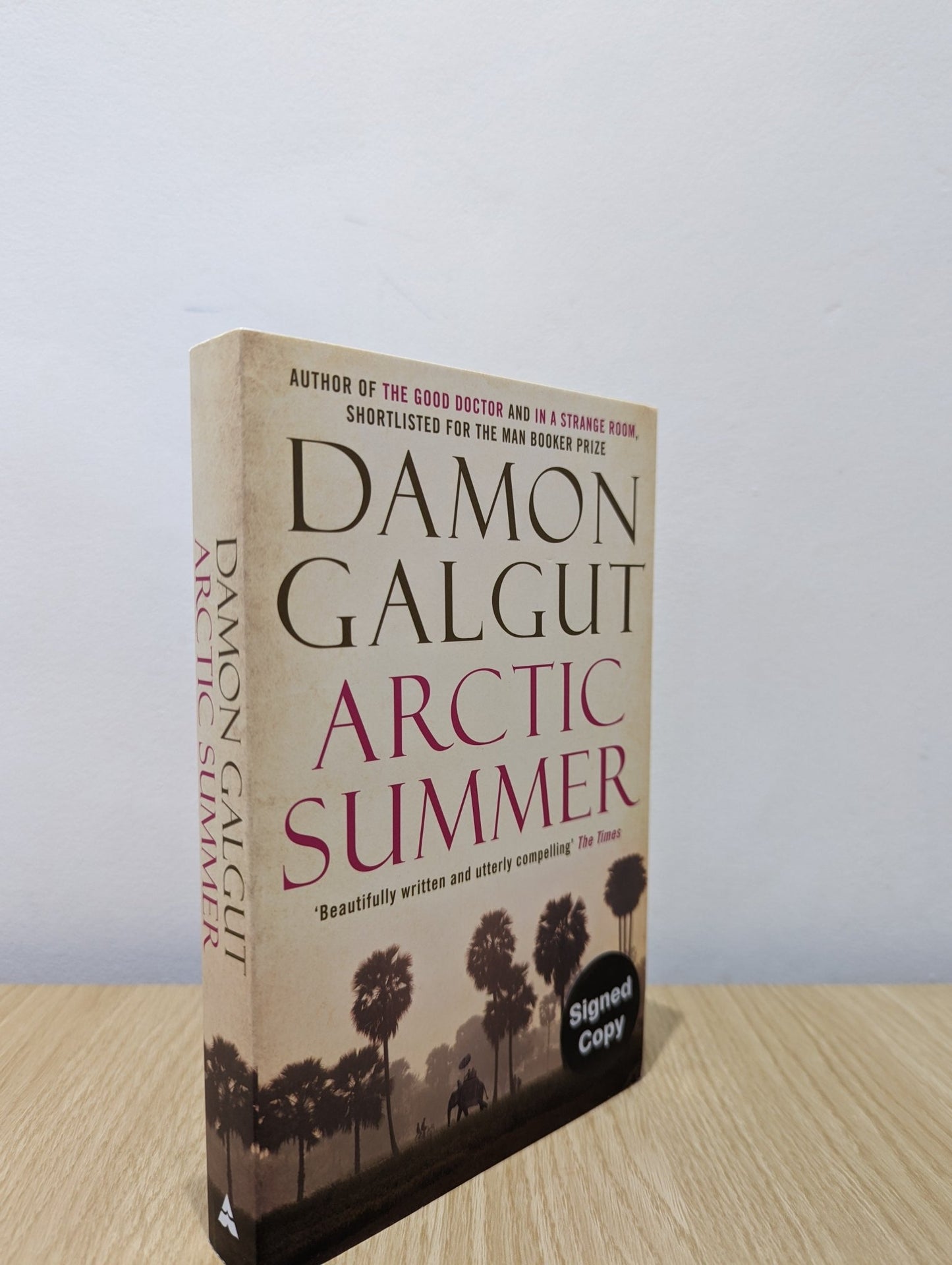 Arctic Summer by Damon Galgut (Signed) - Fialta Books