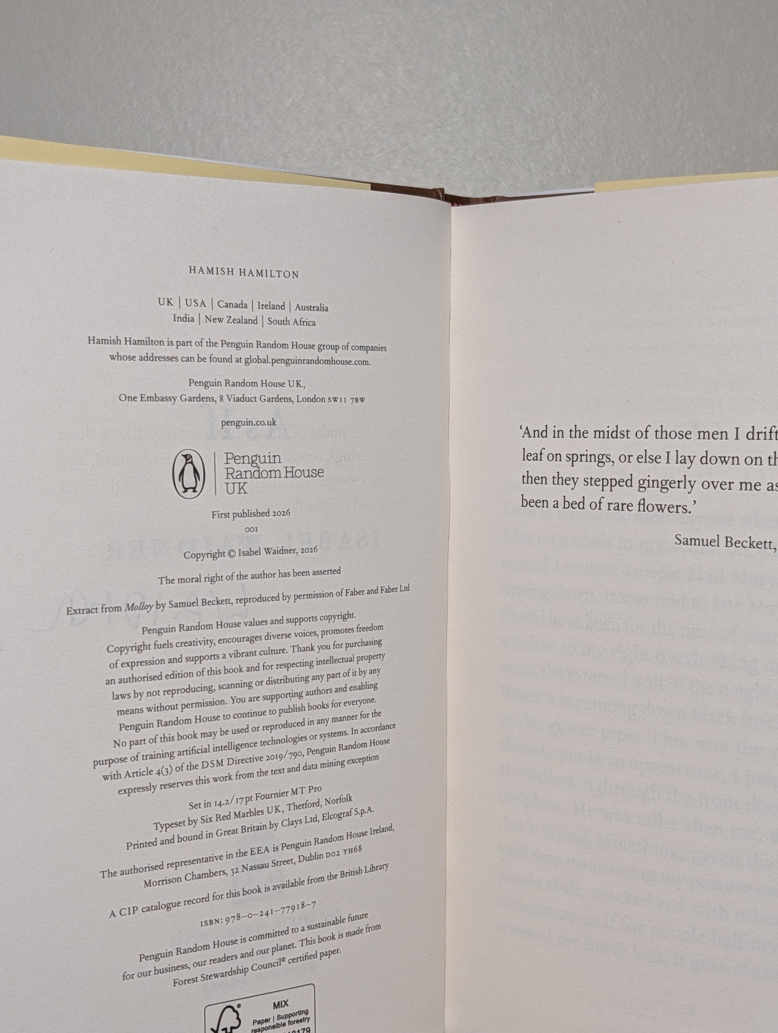 As If by Isabel Waidner (Signed First Edition) - Fialta Books