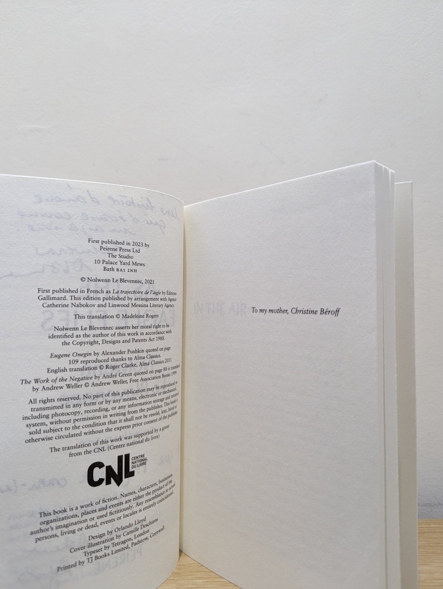 As The Eagle Flies by Nolwenn Le Blevennec (Signed Lined First Edition) - Fialta Books