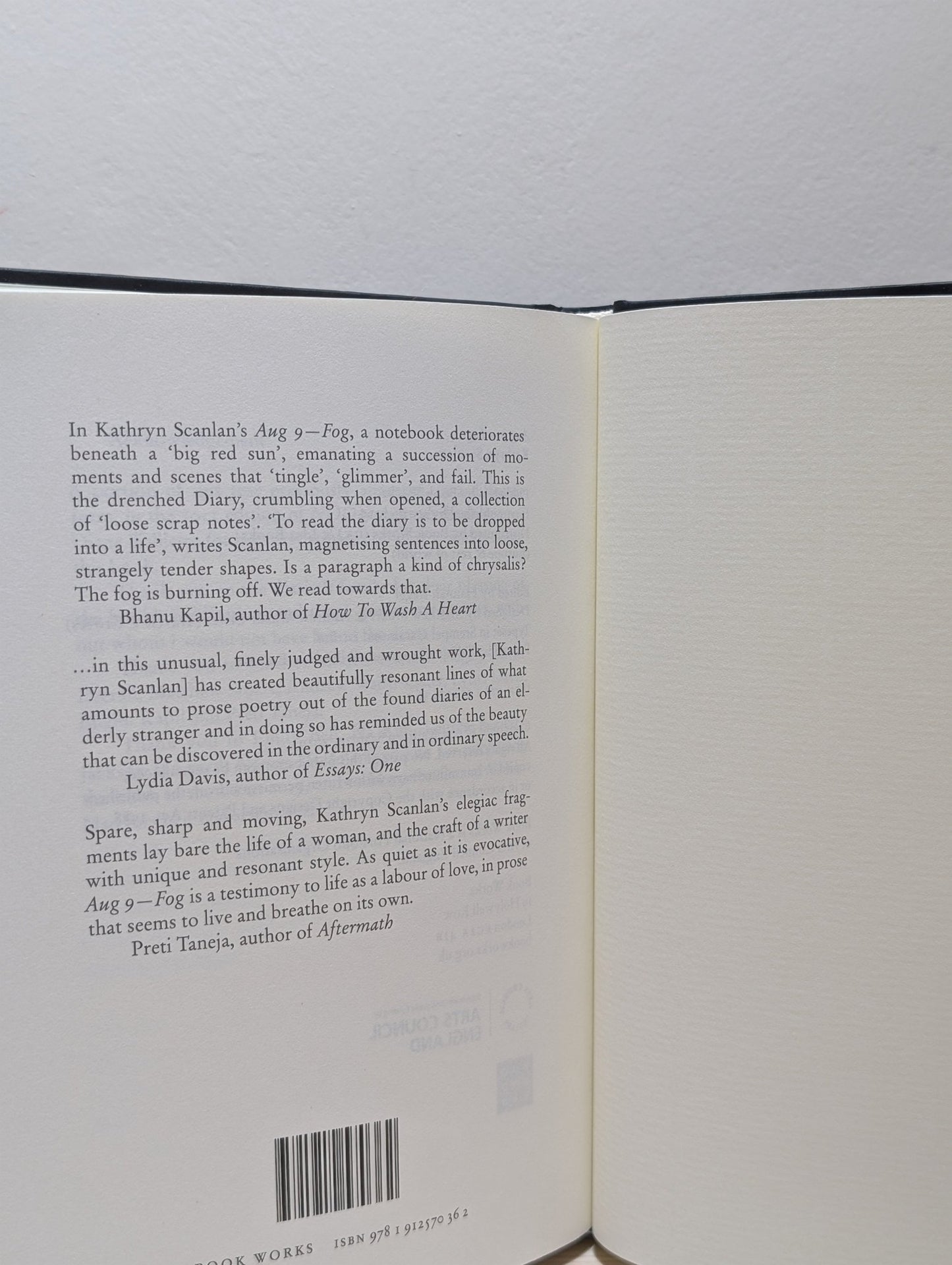 Aug 9 - Fog by Kathryn Scanlan (Signed First Edition) - Fialta Books