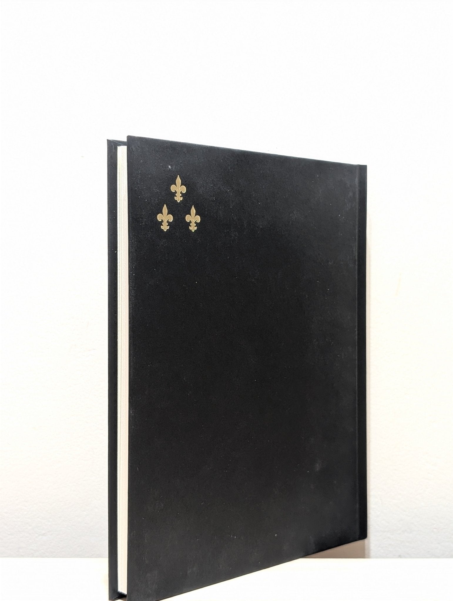 Aug 9 - Fog by Kathryn Scanlan (Signed First Edition) - Fialta Books