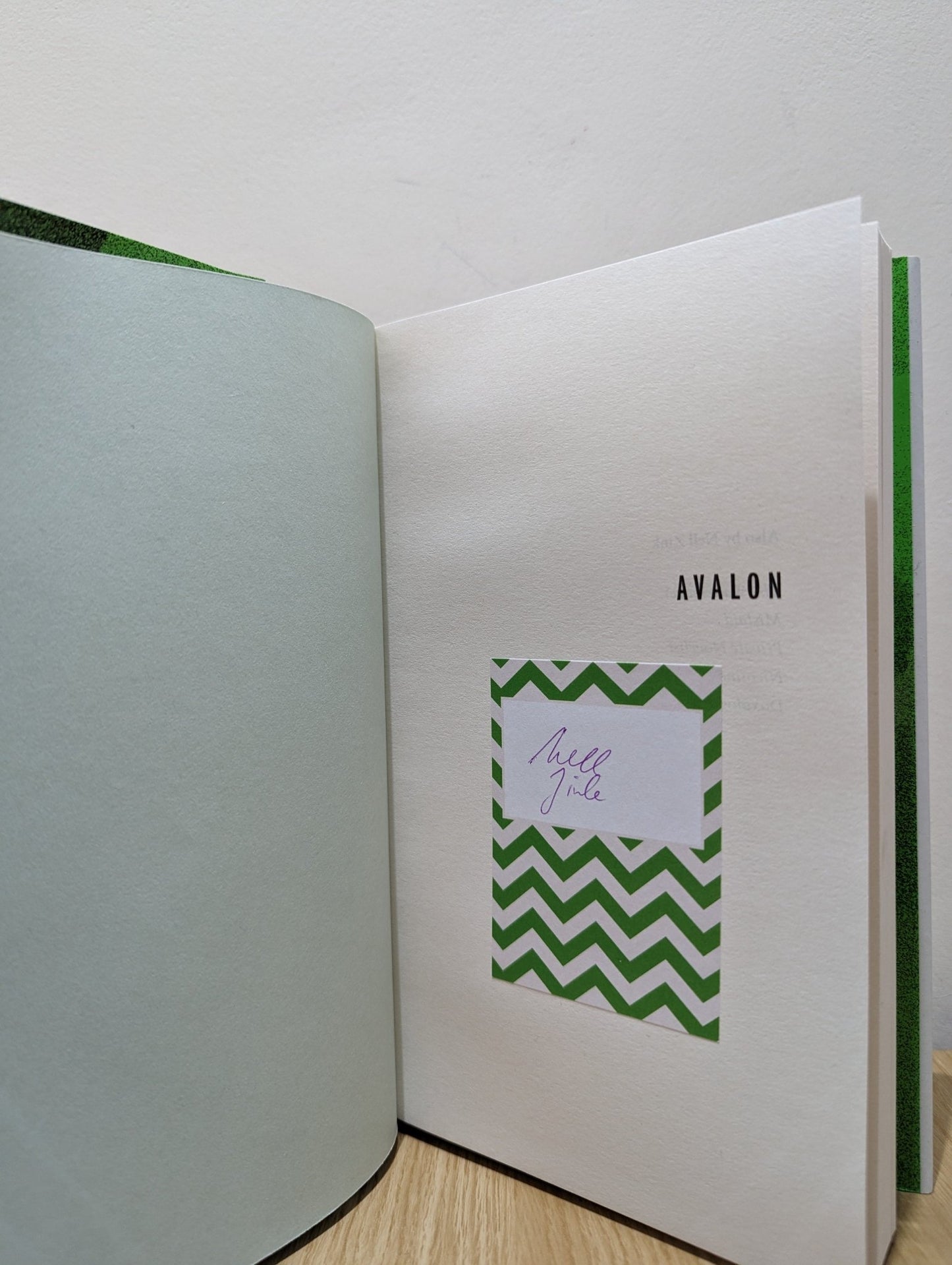 Avalon by Nell Zink (Signed First Edition) - Fialta Books