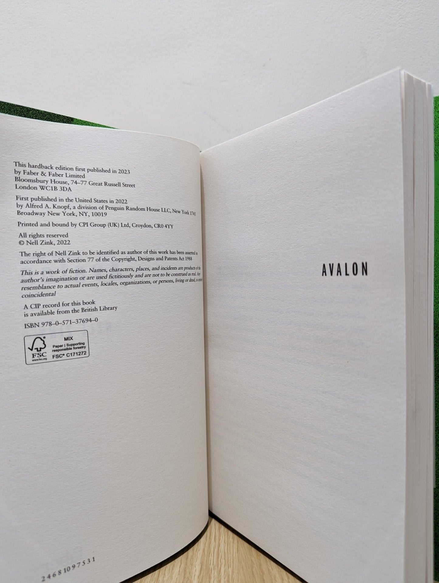 Avalon by Nell Zink (Signed First Edition) - Fialta Books