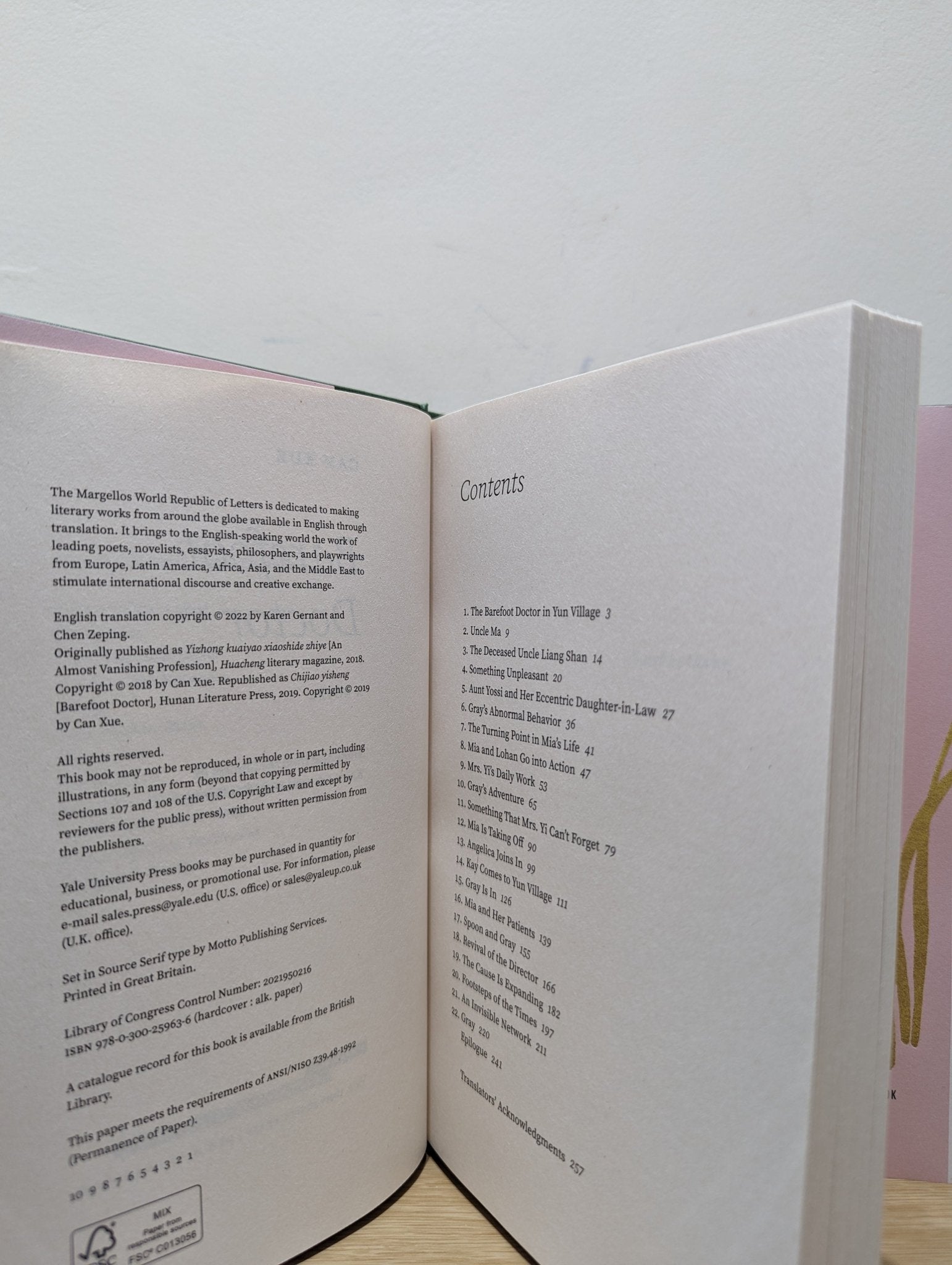 Barefoot Doctor: A Novel by Can Xue (First Edition) - Fialta Books