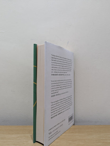 Barefoot Doctor: A Novel by Can Xue (First Edition) - Fialta Books