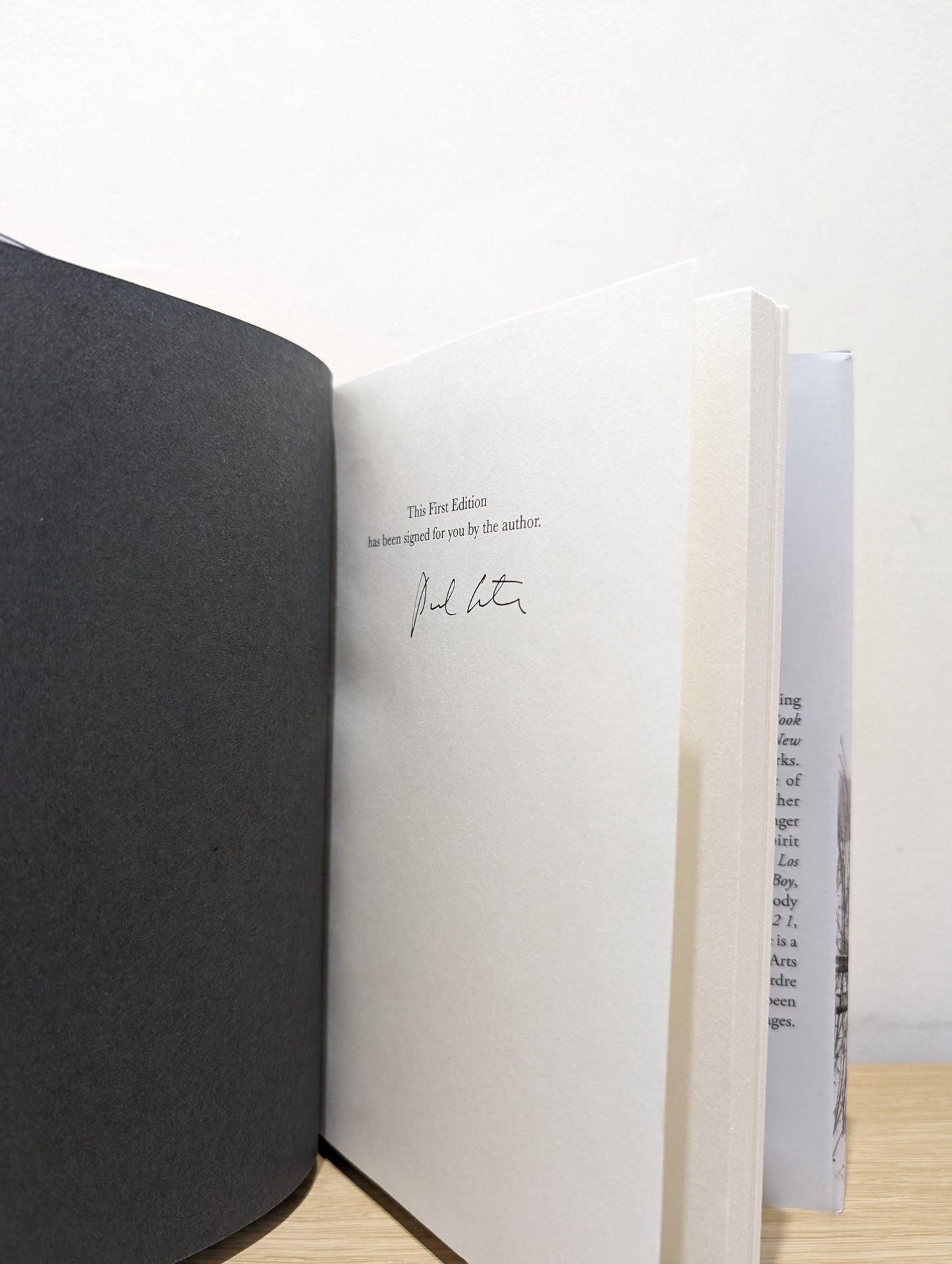 Baumgartner by Paul Auster (Signed First Edition) - Fialta Books