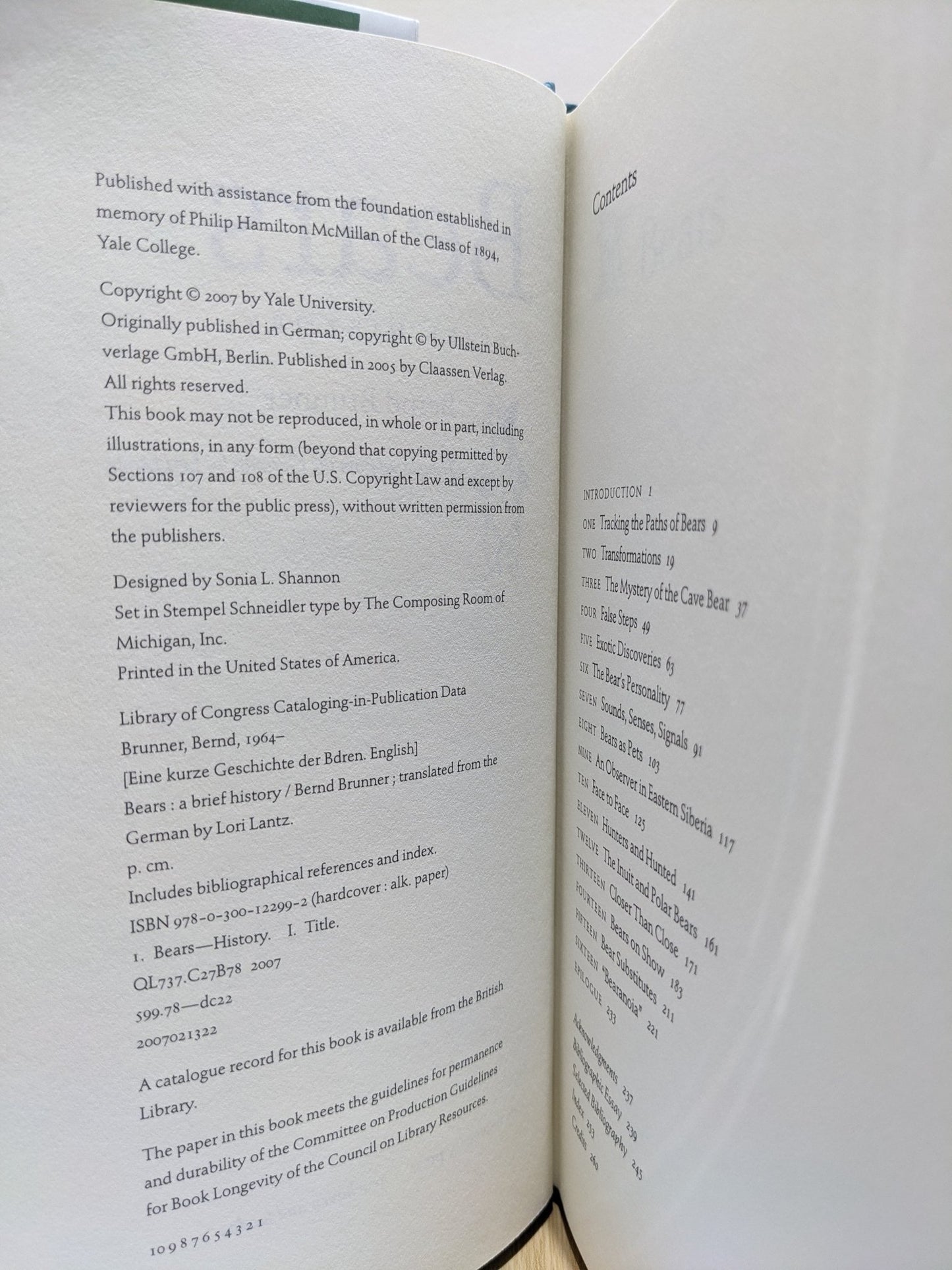 Bears: A Brief History by Bernd Brunner - Fialta Books