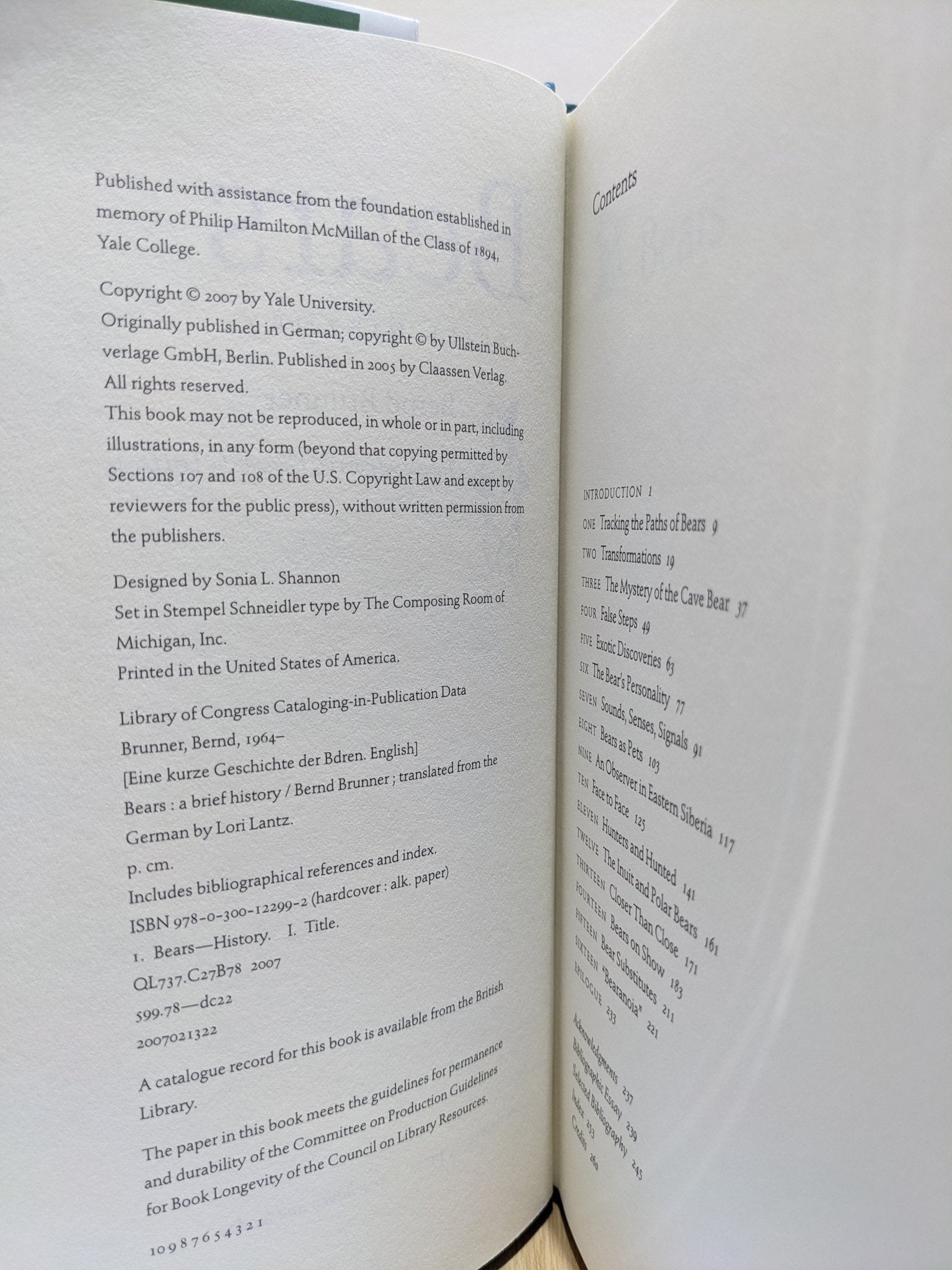 Bears: A Brief History by Bernd Brunner - Fialta Books