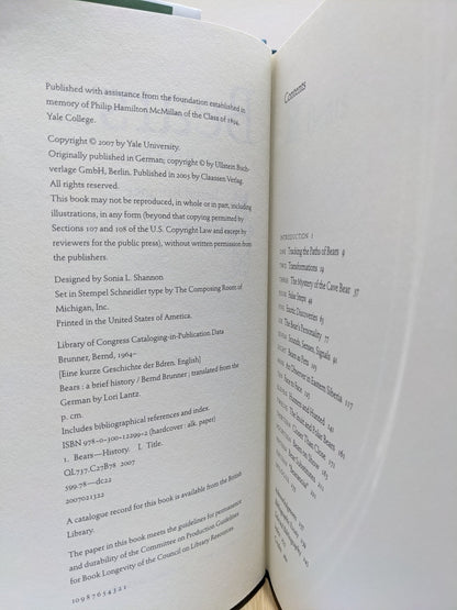 Bears: A Brief History by Bernd Brunner - Fialta Books