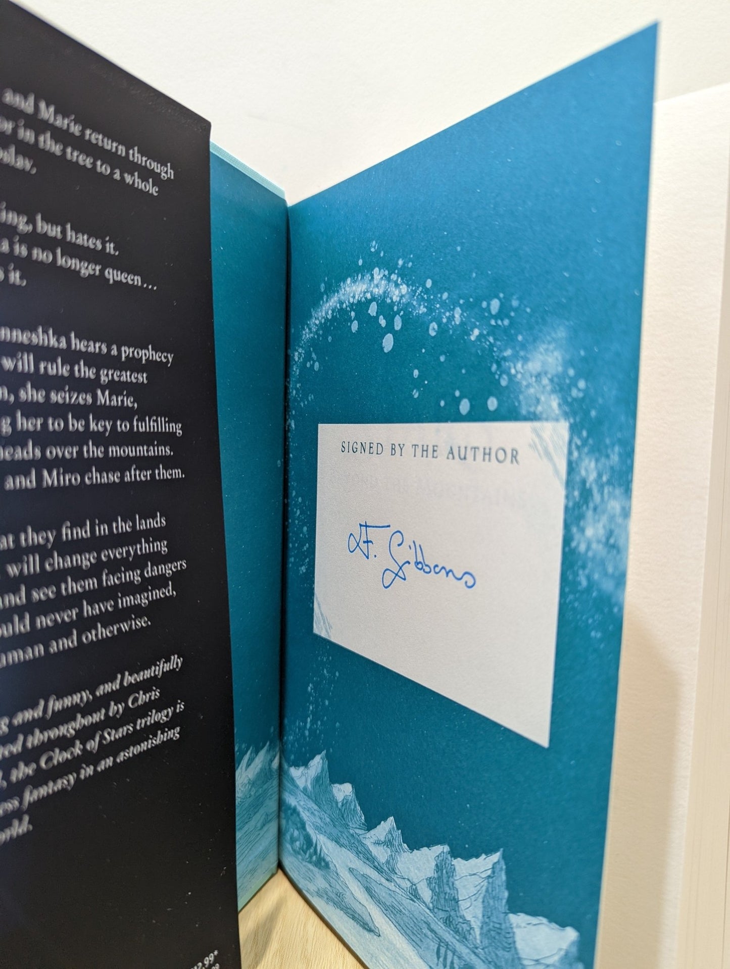 Beyond the Mountains by Francesca Gibbons (Signed First Edition) - Fialta Books