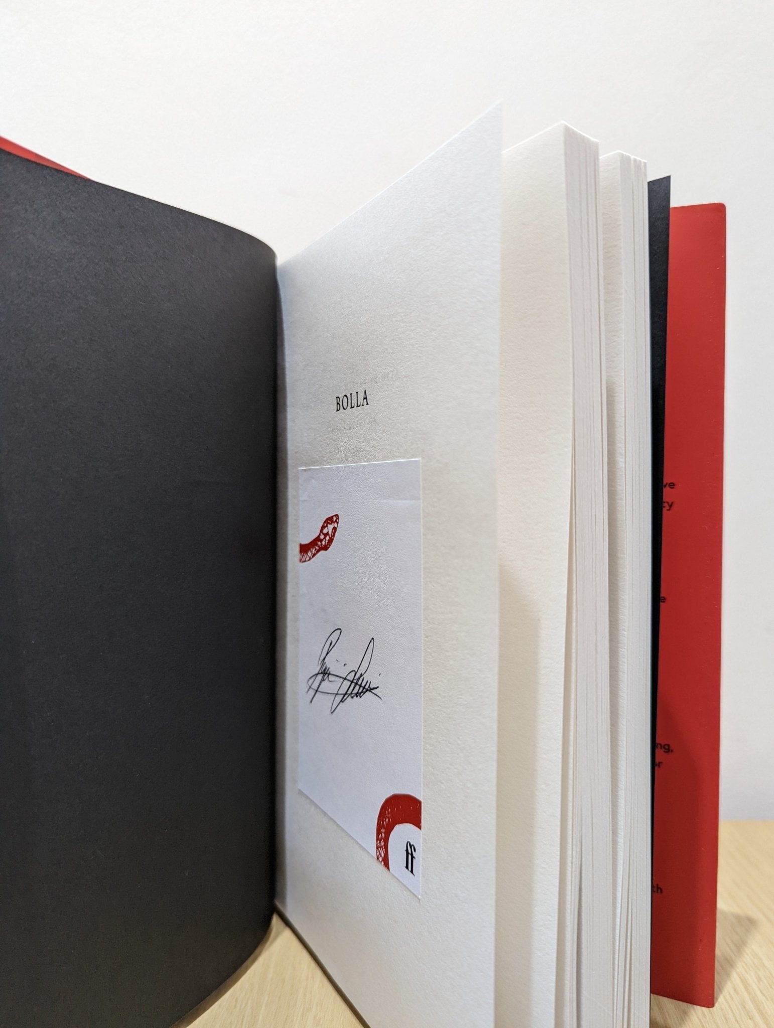 Bolla by Pajtim Statovci (Signed First Edition) - Fialta Books