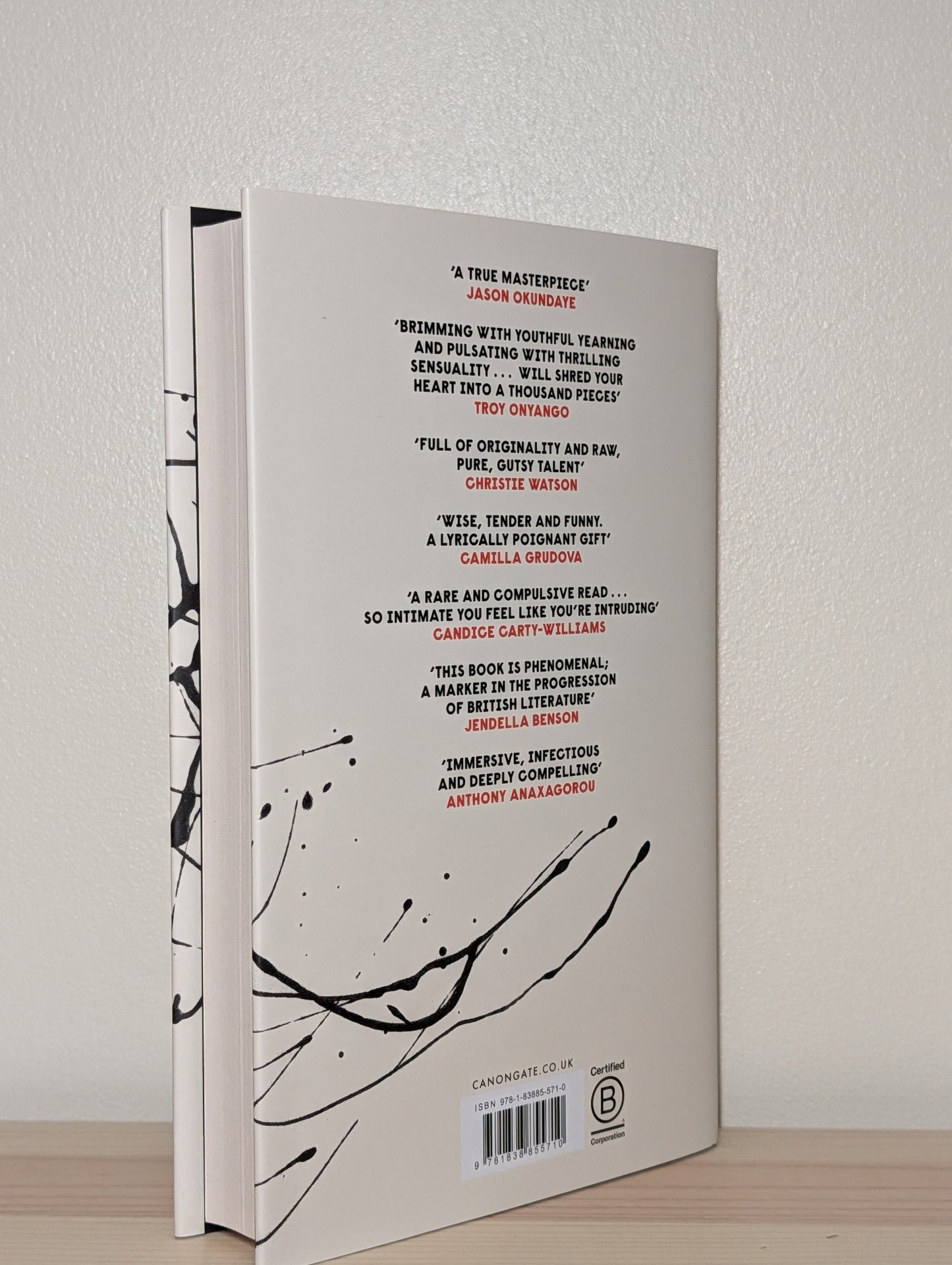 Borderline Fiction by Derek Owusu (Signed First Edition) - Fialta Books