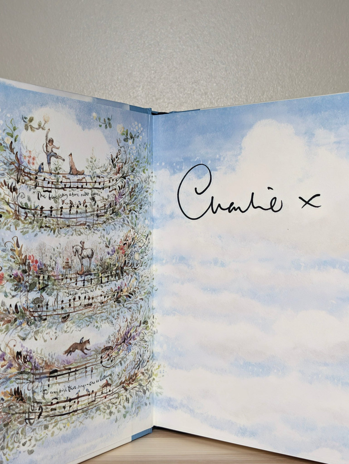 Boy, Mole, Fox and Horse; Always Remember by Charlie Mackesy (Signed Two Book Set) - Fialta Books