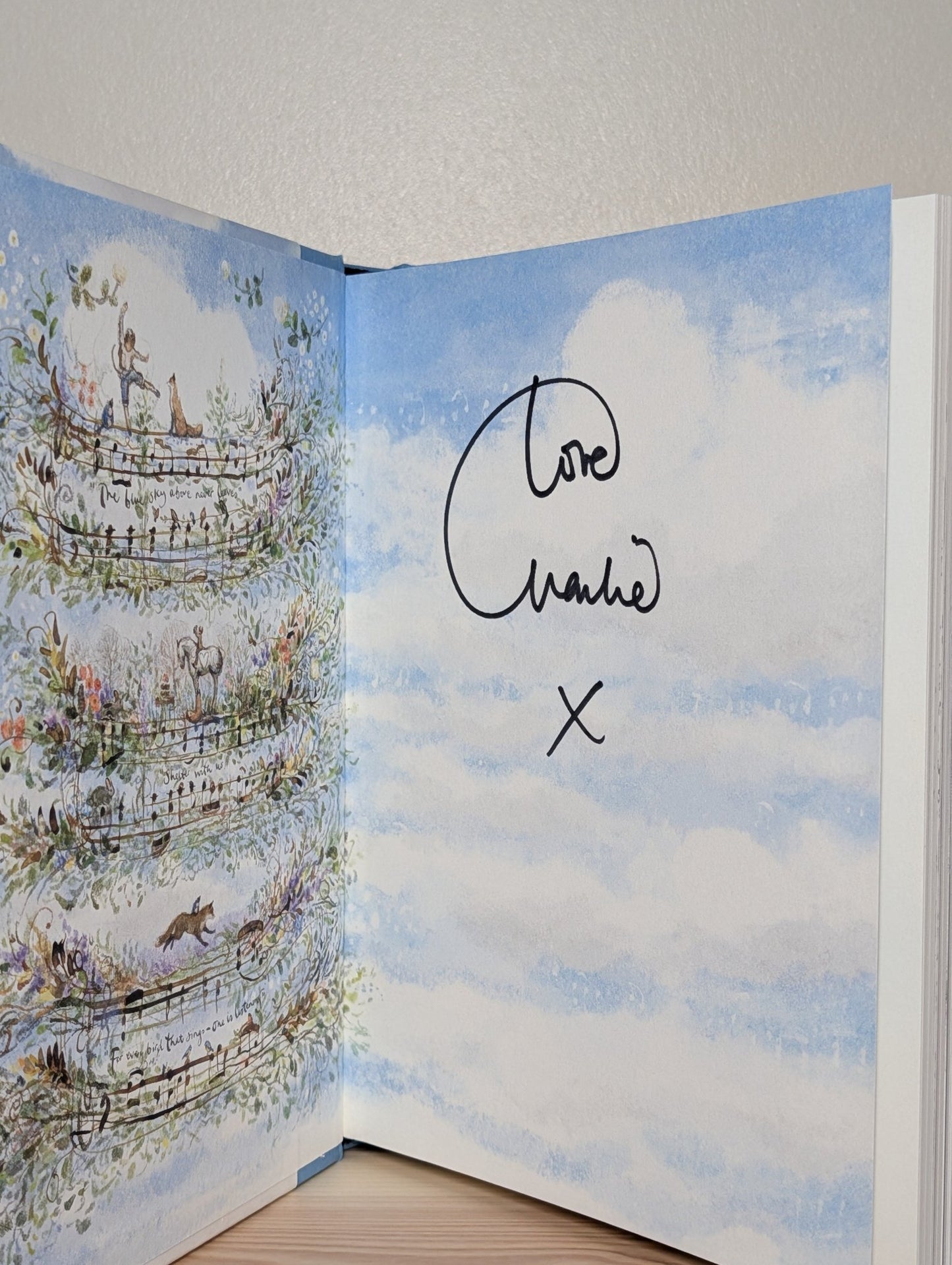 Boy, Mole, Fox and Horse; Always Remember by Charlie Mackesy (Signed Two Book Set) - Fialta Books