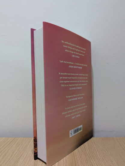 Briefly Very Beautiful by Roz Dineen (Signed First Edition) - Fialta Books