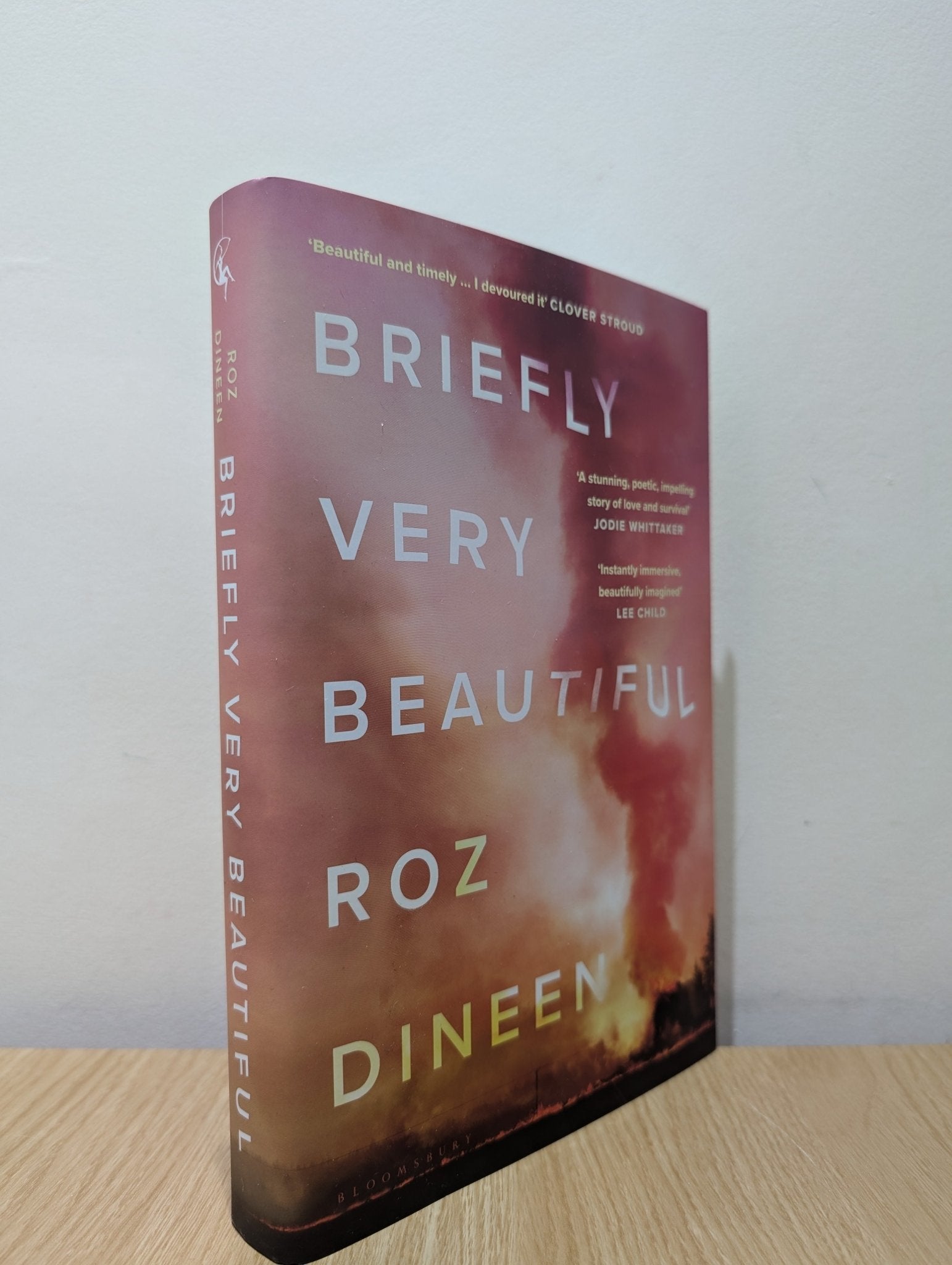 Briefly Very Beautiful by Roz Dineen (Signed First Edition) - Fialta Books