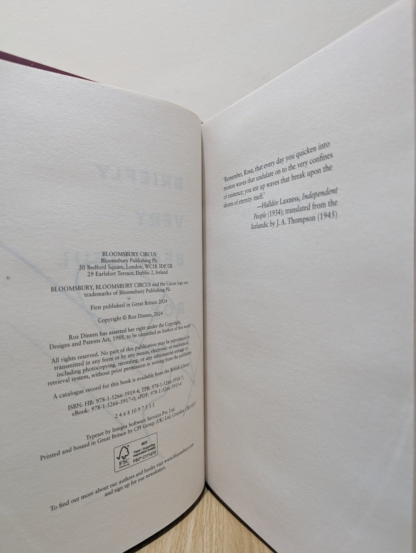 Briefly Very Beautiful by Roz Dineen (Signed First Edition) - Fialta Books