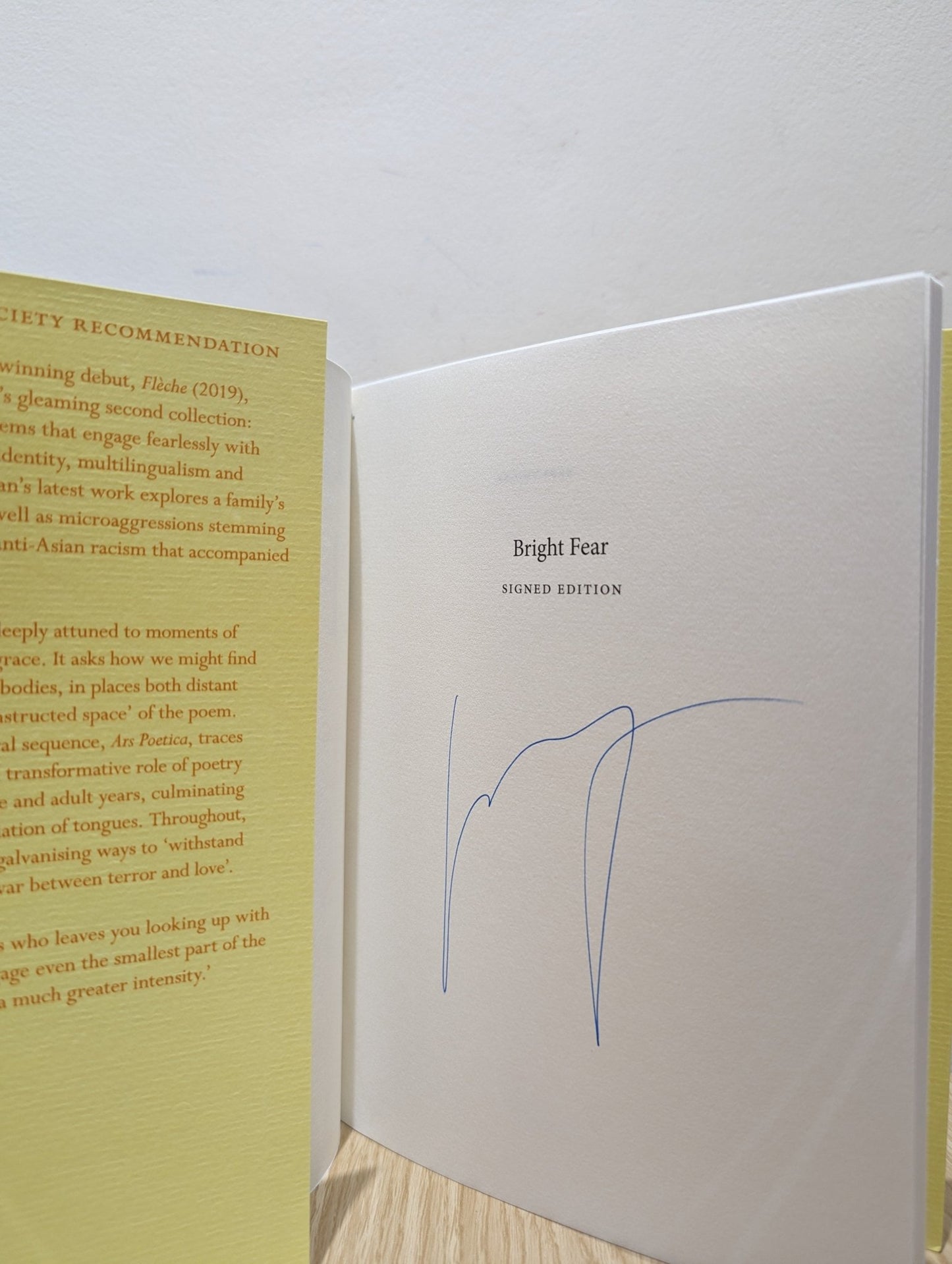 Bright Fear by Mary Jean Chan (Signed First Edition) - Fialta Books