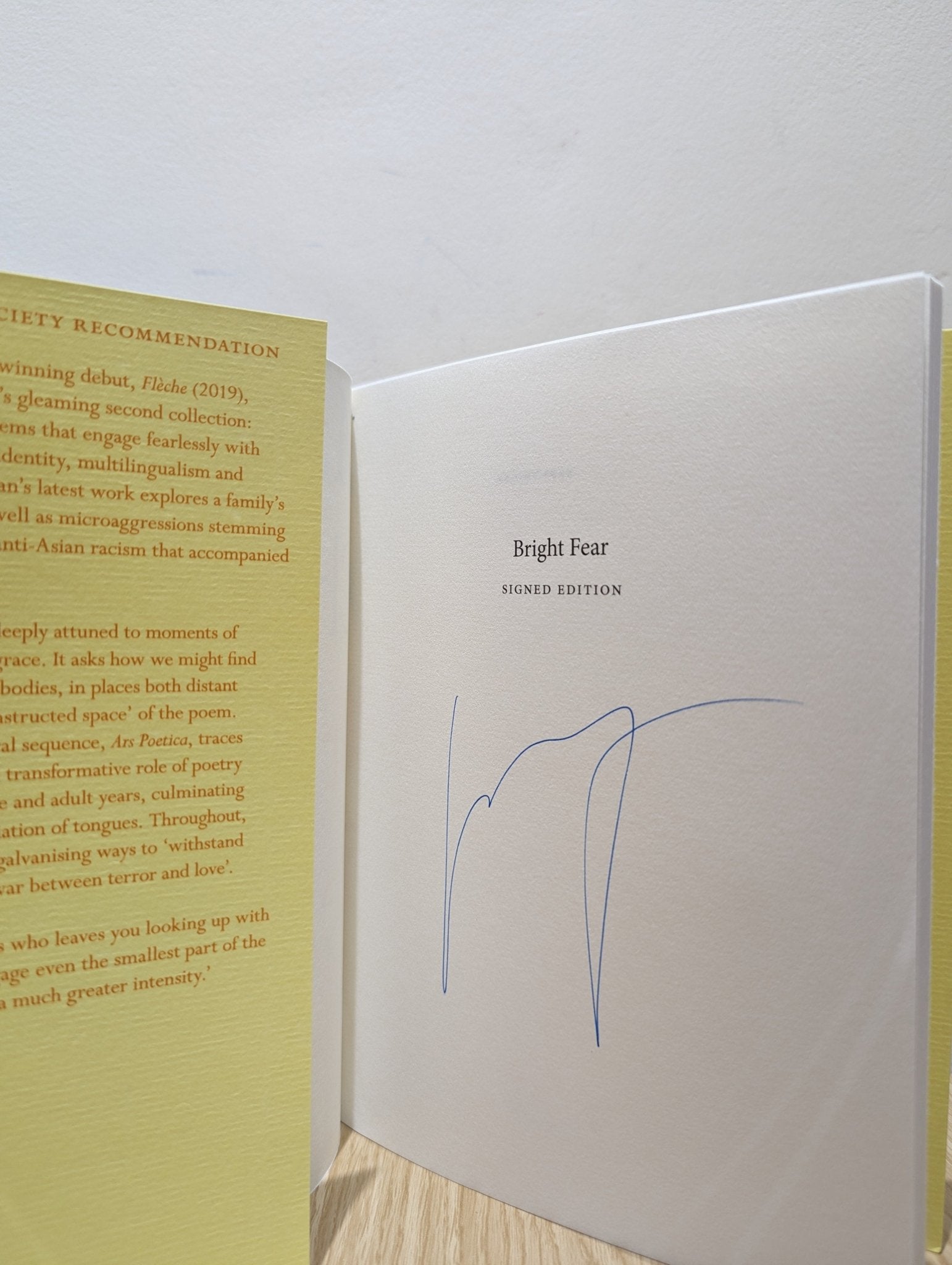 Bright Fear by Mary Jean Chan (Signed First Edition) - Fialta Books