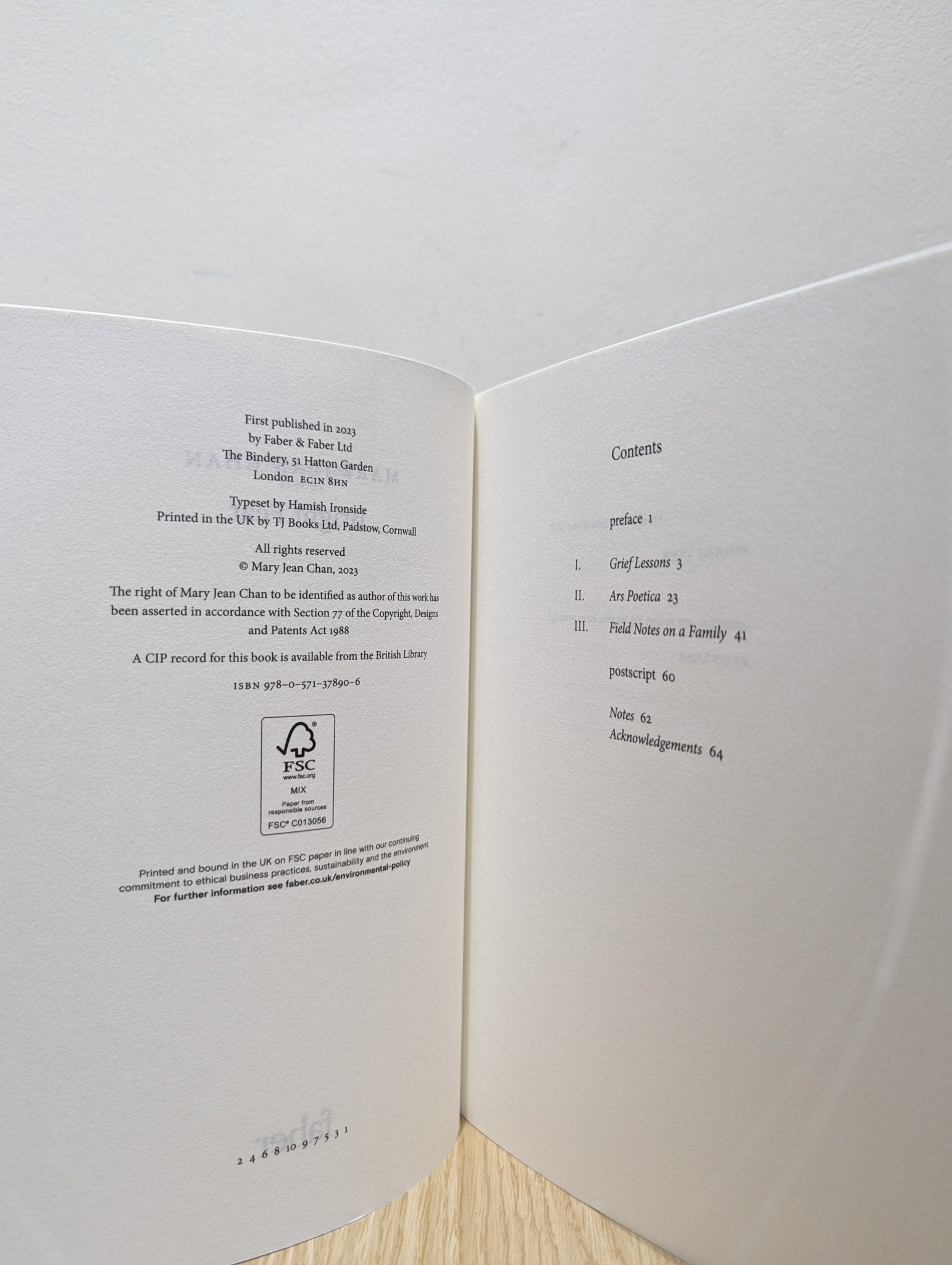 Bright Fear by Mary Jean Chan (Signed First Edition) - Fialta Books