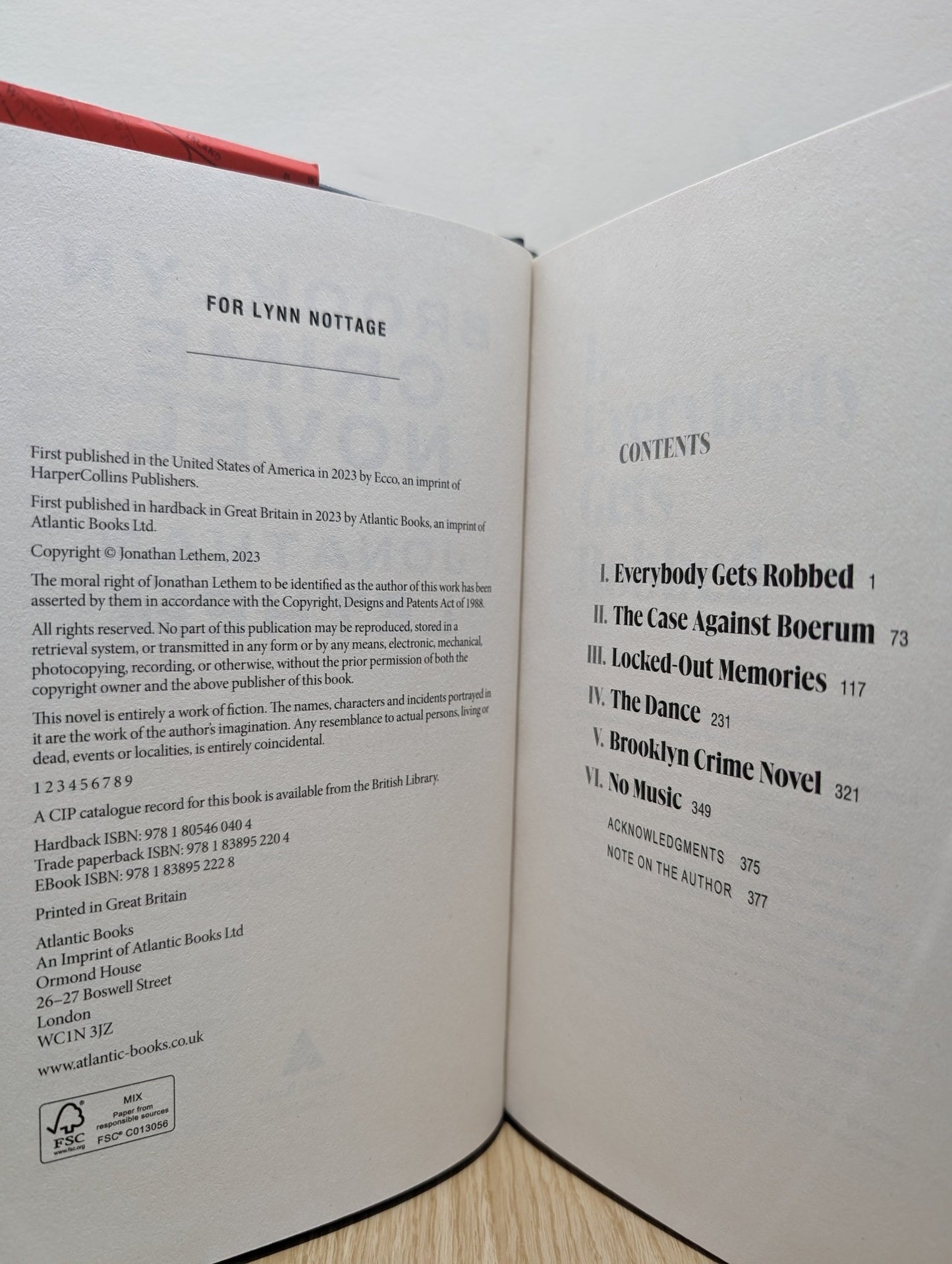 Brooklyn Crime Novel by Jonathan Lethem (First Edition) - Fialta Books