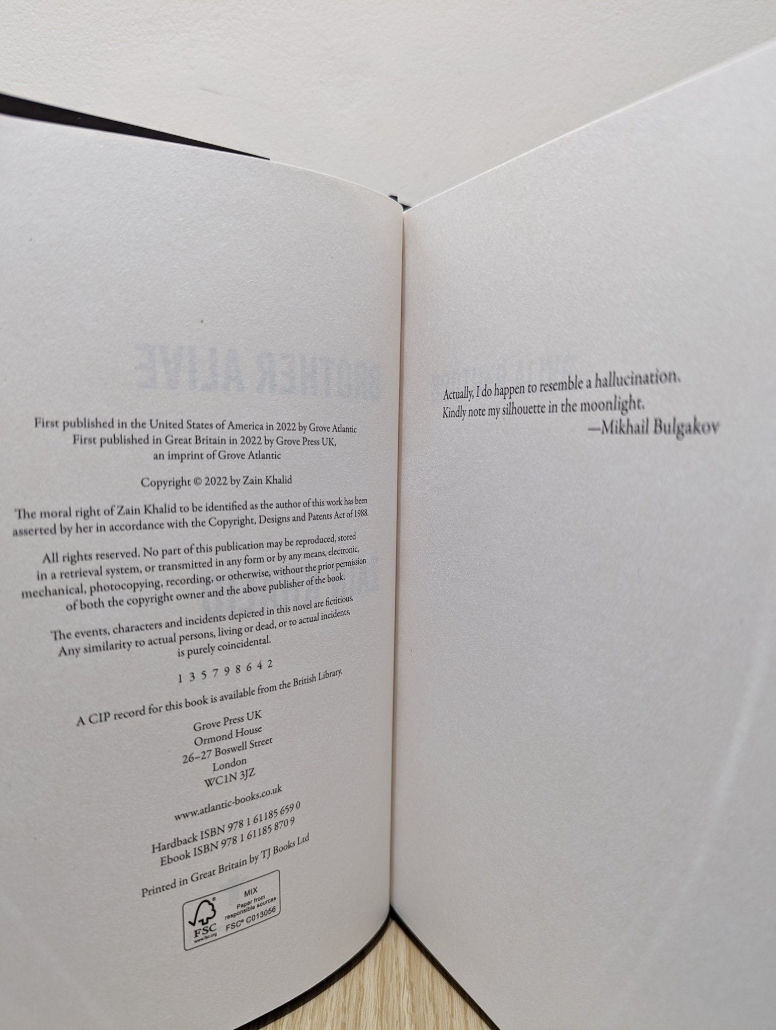 Brother Alive by Zain Khalid (First Edition) - Fialta Books