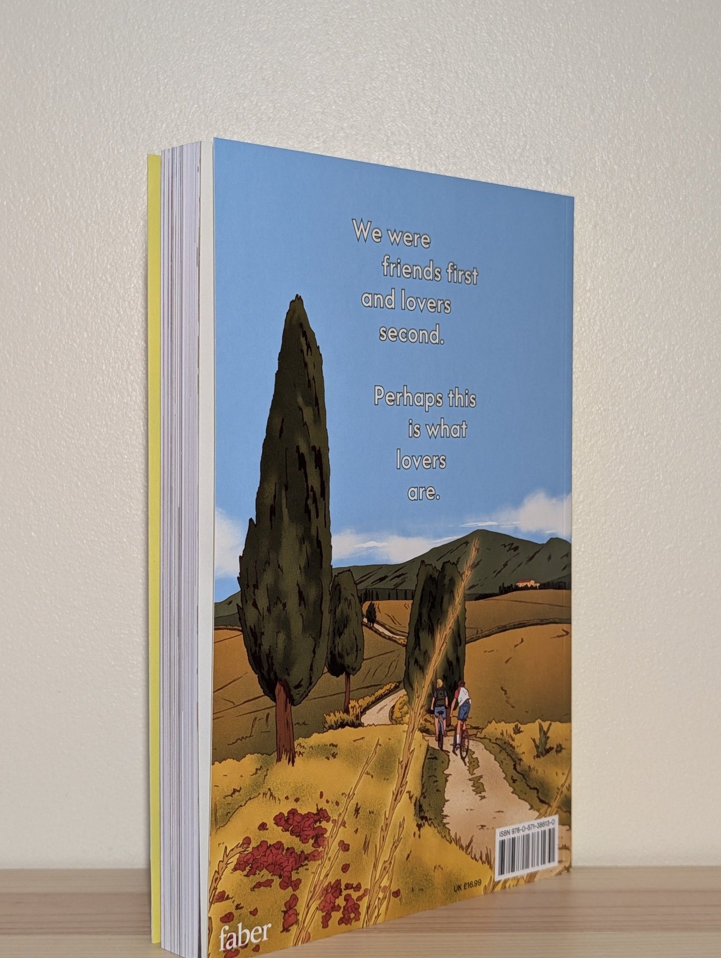 Call Me by Your Name Graphic Novel by Andre Aciman (Double Signed First Edition) - Fialta Books