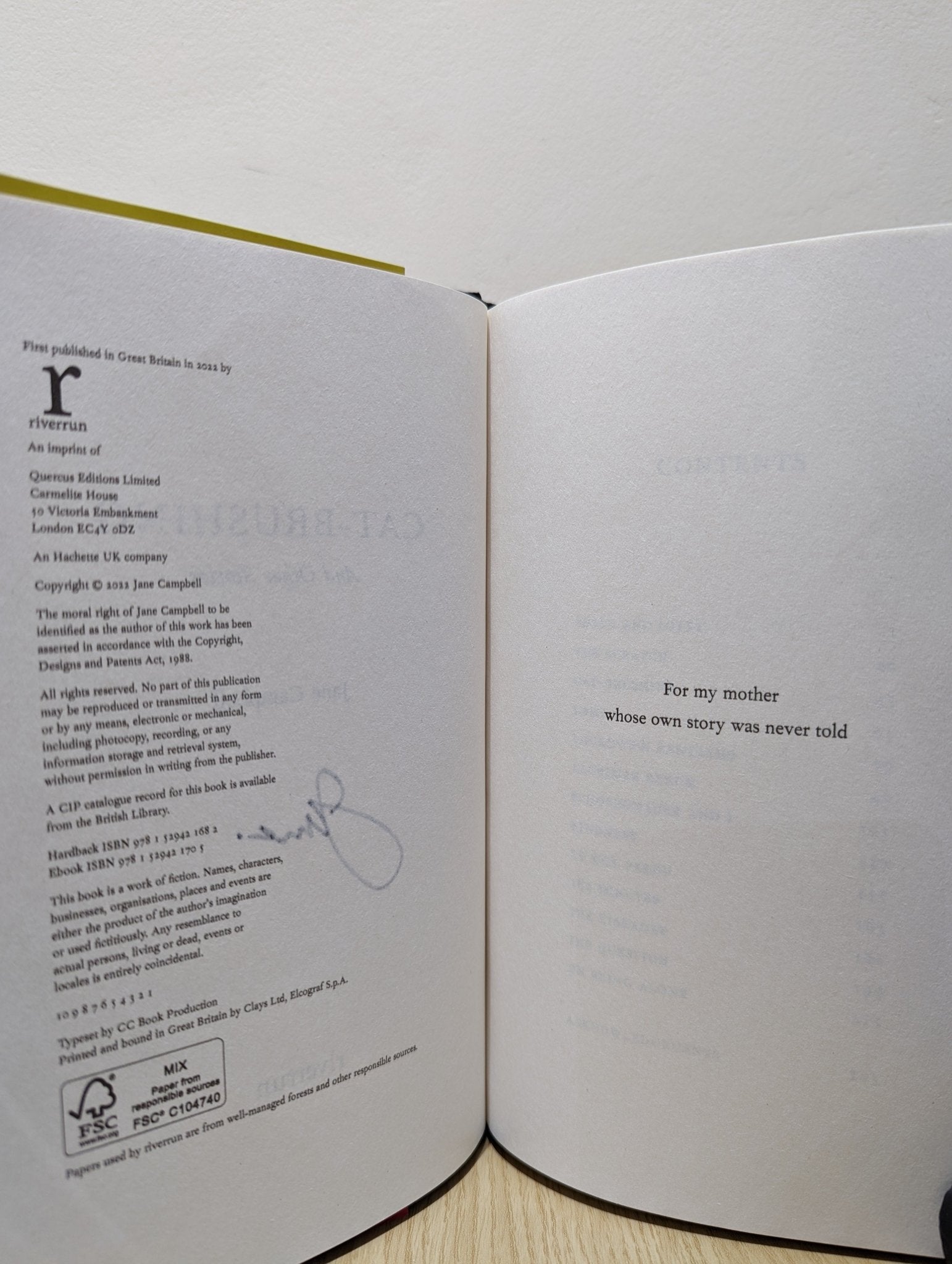 Cat Brushing by Jane Campbell (Signed First Edition) - Fialta Books