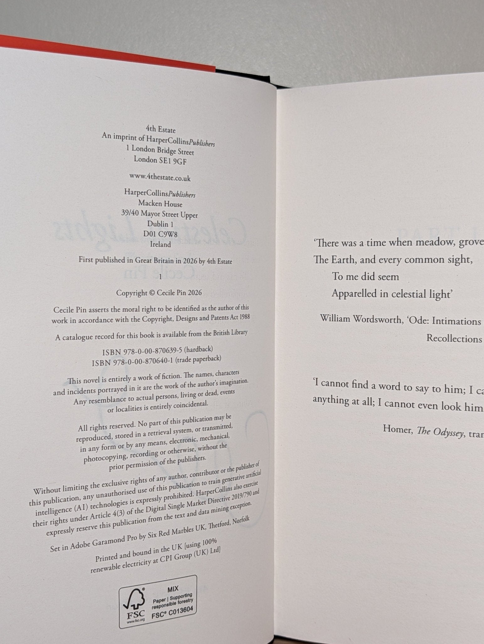 Celestial Lights by Cecile Pin (Signed First Edition) - Fialta Books
