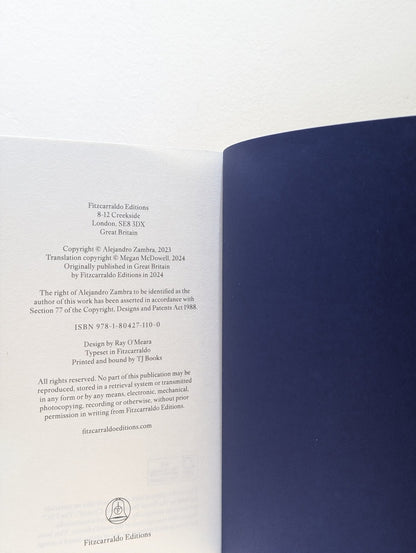 Childish Literature by Alejandro Zambra (First Edition) - Fialta Books