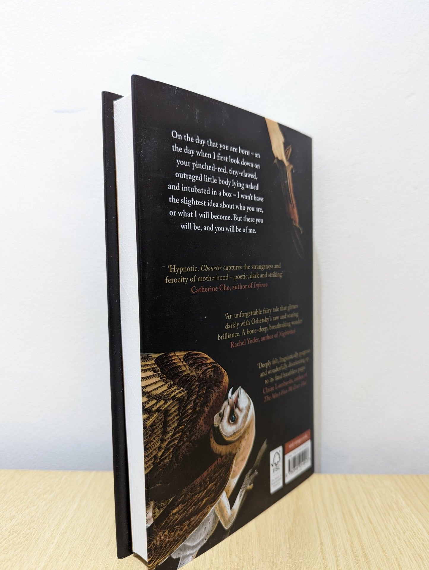 Chouette by Claire Oshetsky (First Edition) - Fialta Books