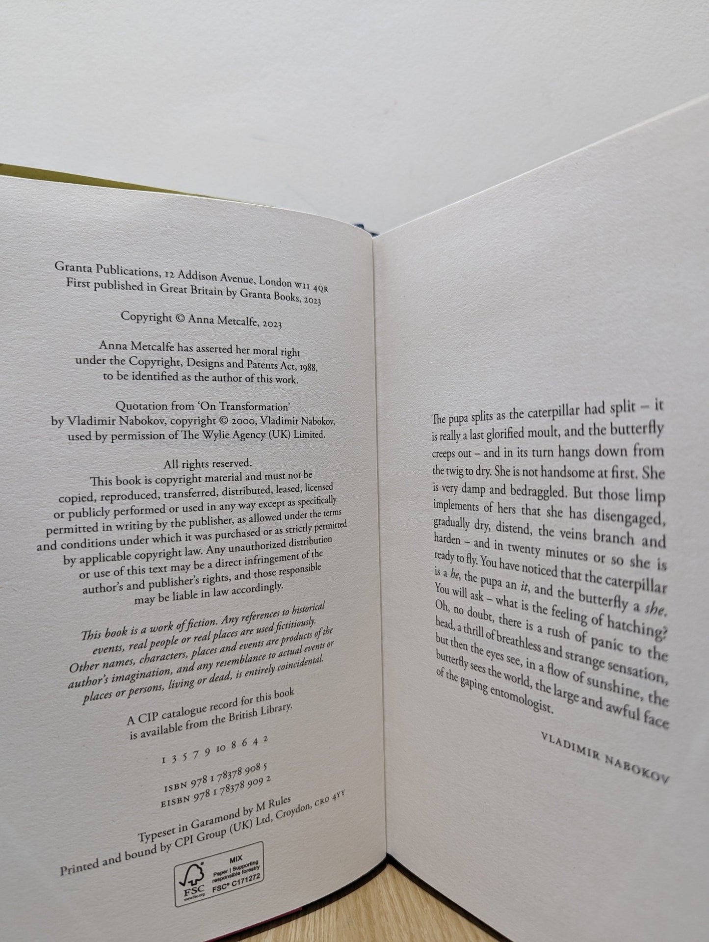 Chrysalis by Anna Metcalfe (First Edition) - Fialta Books